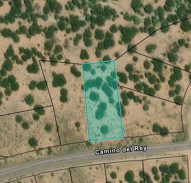 3231 Camino Del Rey Crestone, CO 81131 - Photo 16 of 16