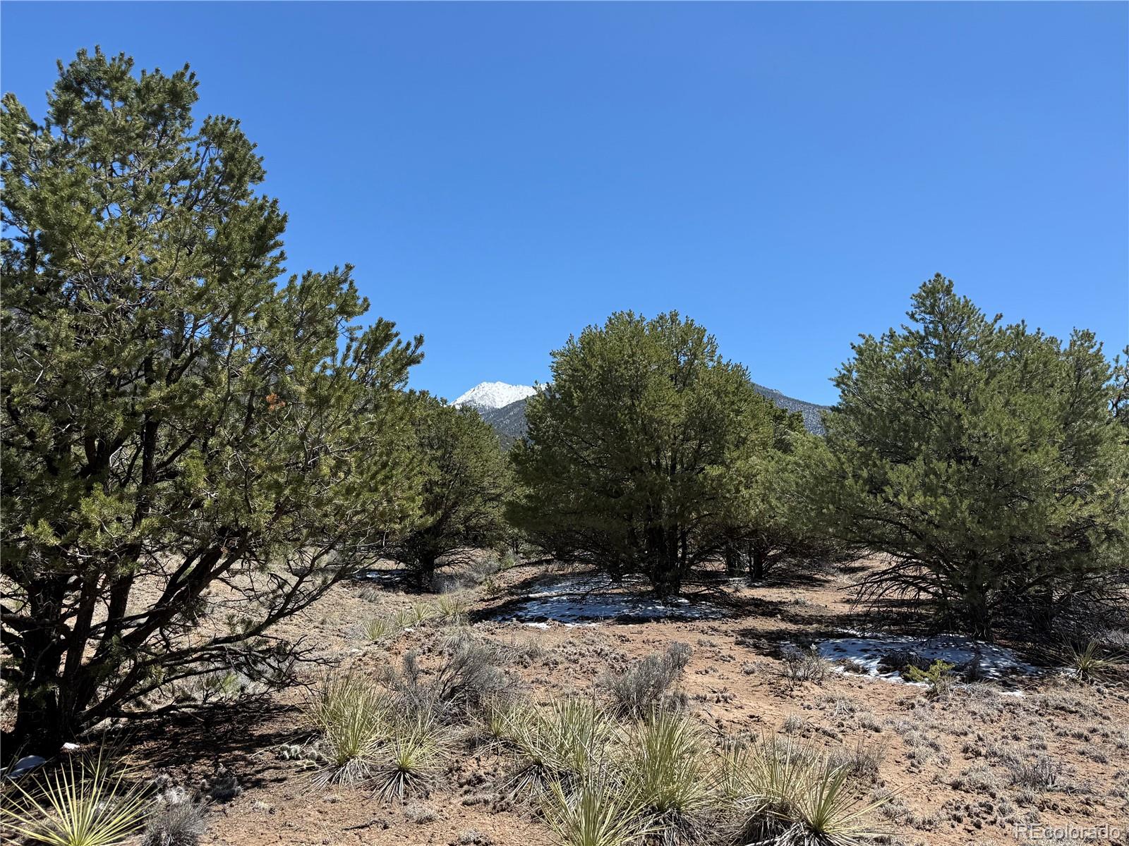 3231 Camino Del Rey Crestone, CO 81131 - Photo 3 of 16