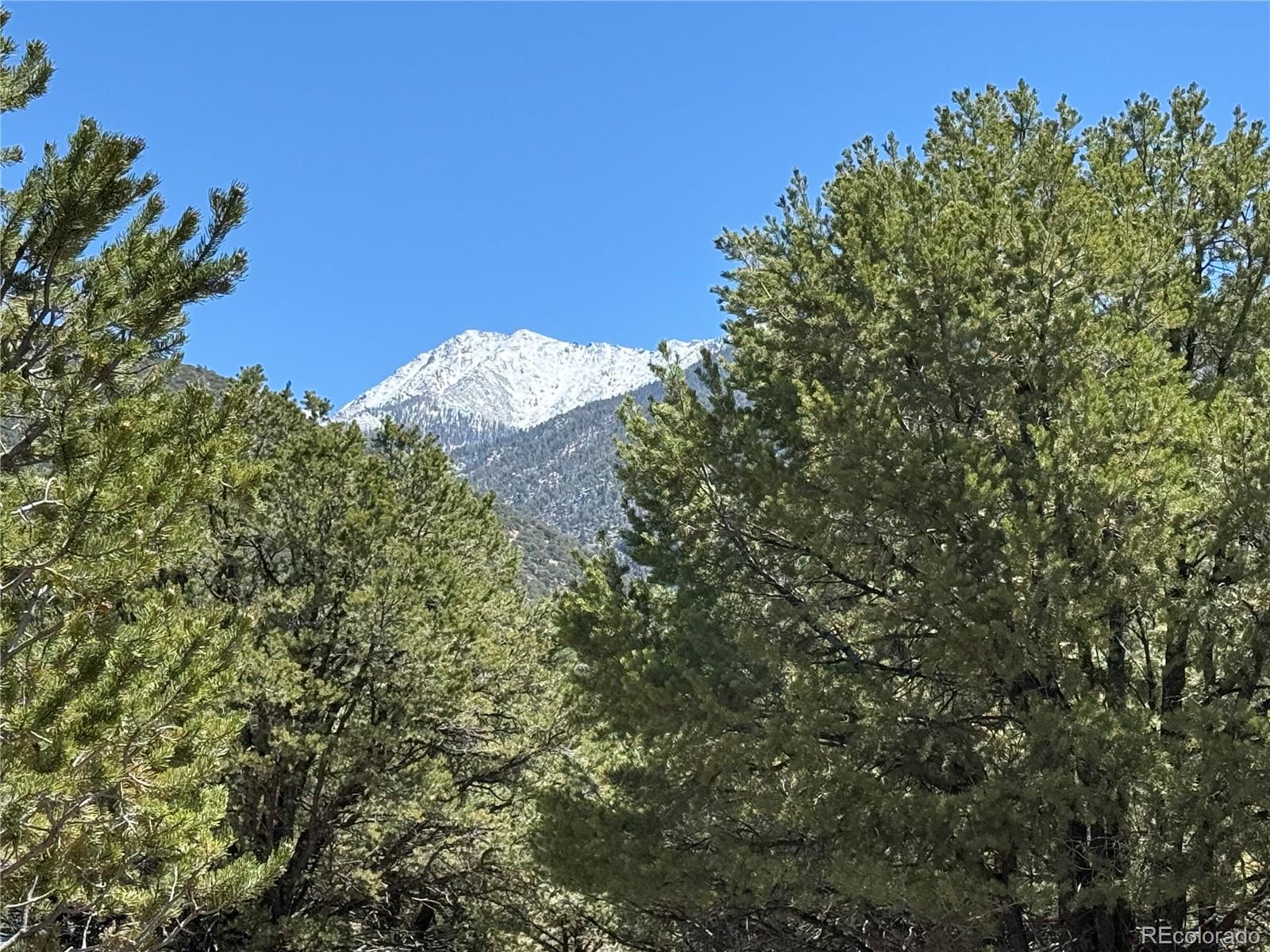 3231 Camino Del Rey Crestone, CO 81131 - Photo 4 of 16
