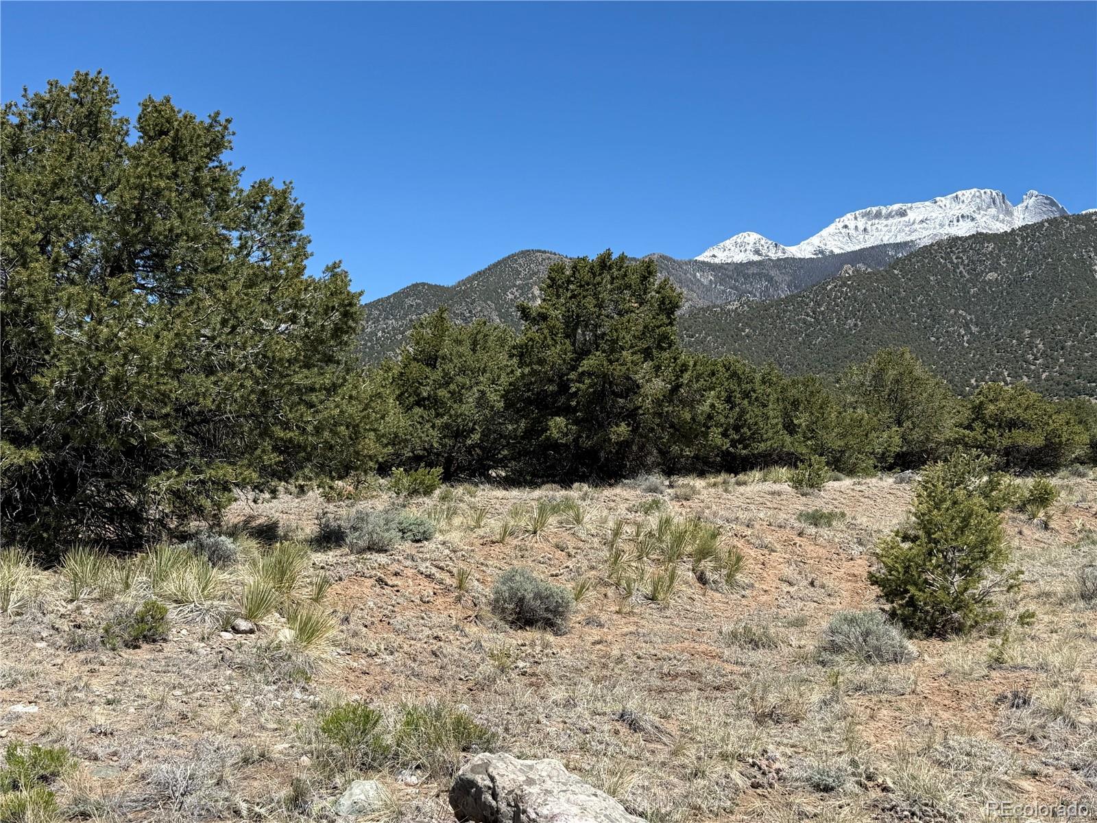 3231 Camino Del Rey Crestone, CO 81131 - Photo 10 of 16