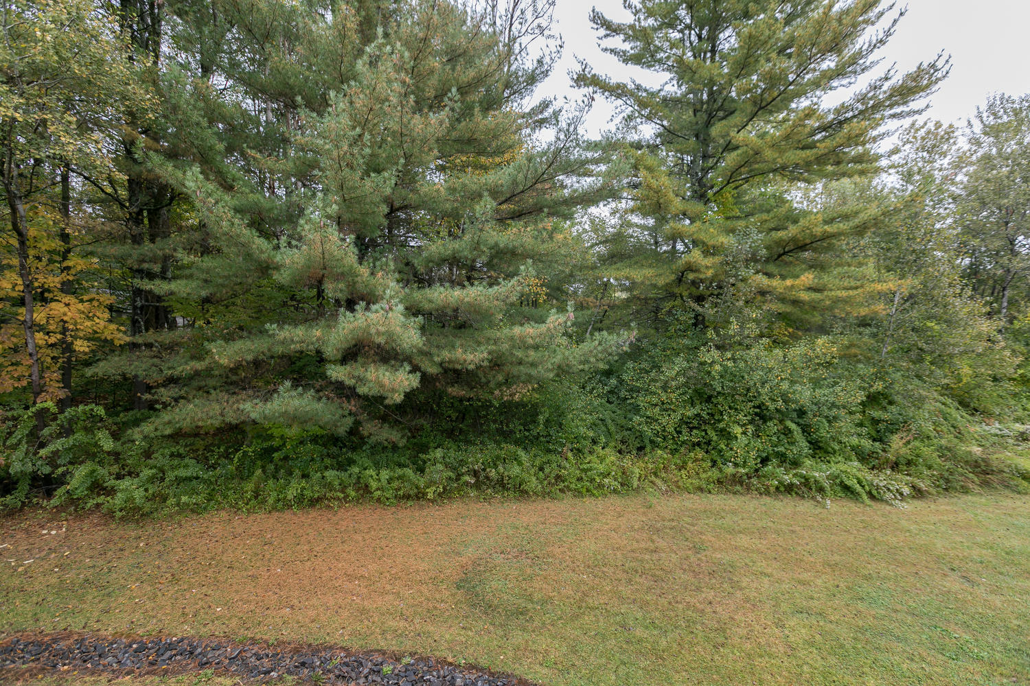 35 Somerset, Unit 35B Freeport, ME 04032 - Photo 10 of 27 35 Somerset Freeport ME 04032-large-010-
