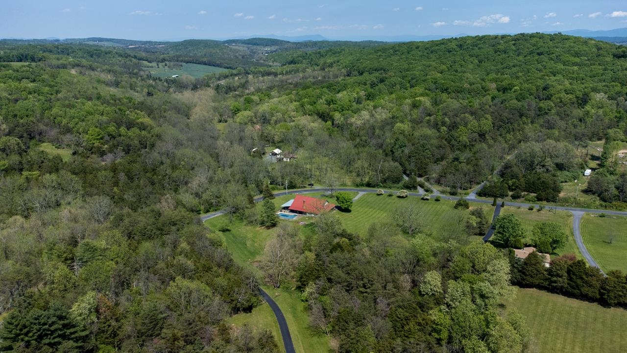 916 Union Church Road Churchville, VA 24421 - Photo 65 of 74 a view of a lush green forest with lots of trees