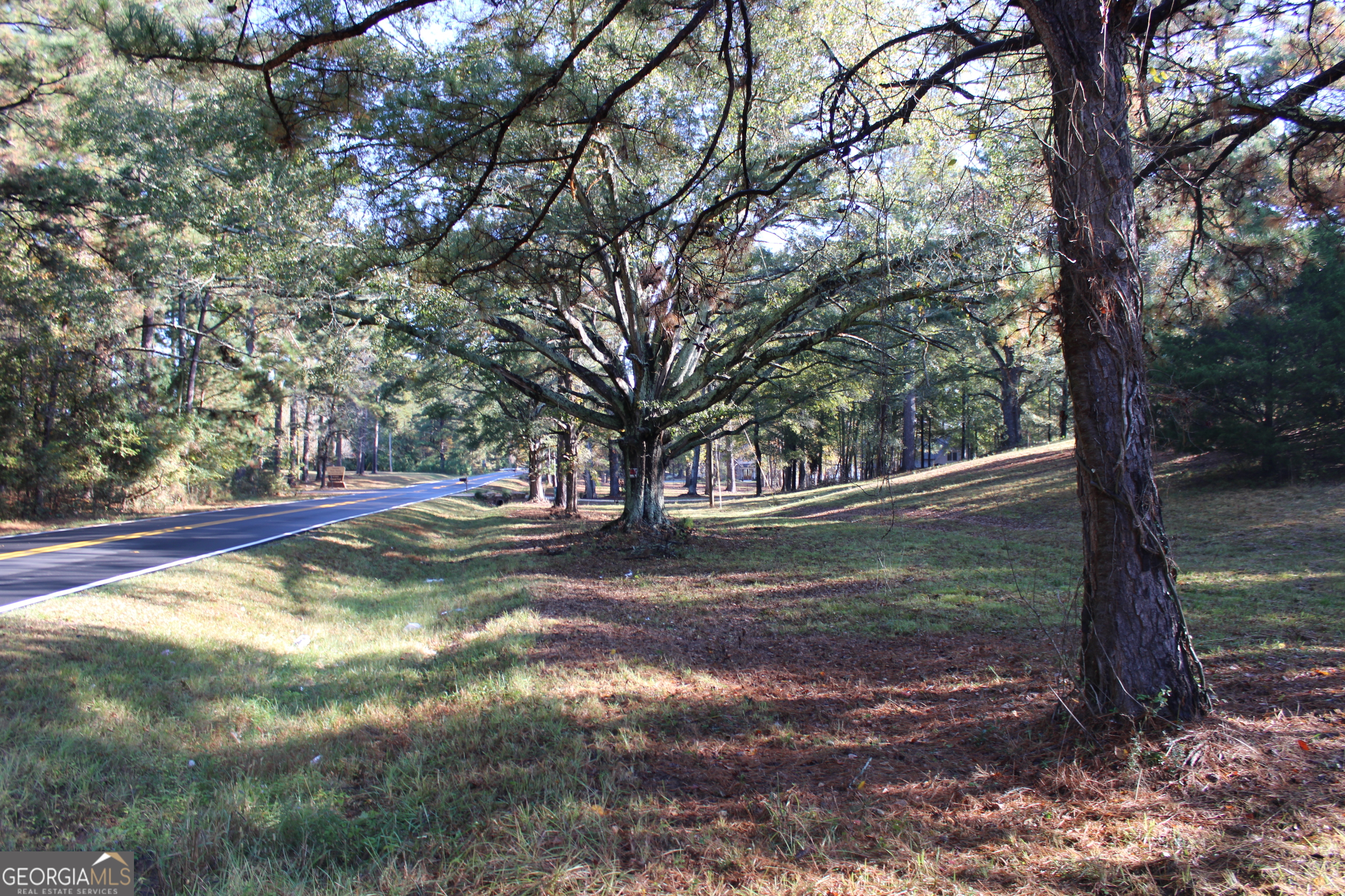 1701 Blue Springs Road Buckhead, GA 30625 - Photo 18 of 24 a view of a tree in the middle of a yard