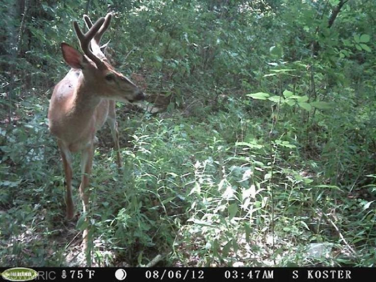 18 Mile, Unit F & G Rodney, MI 49342 - Photo 11 of 13 Additional Photo