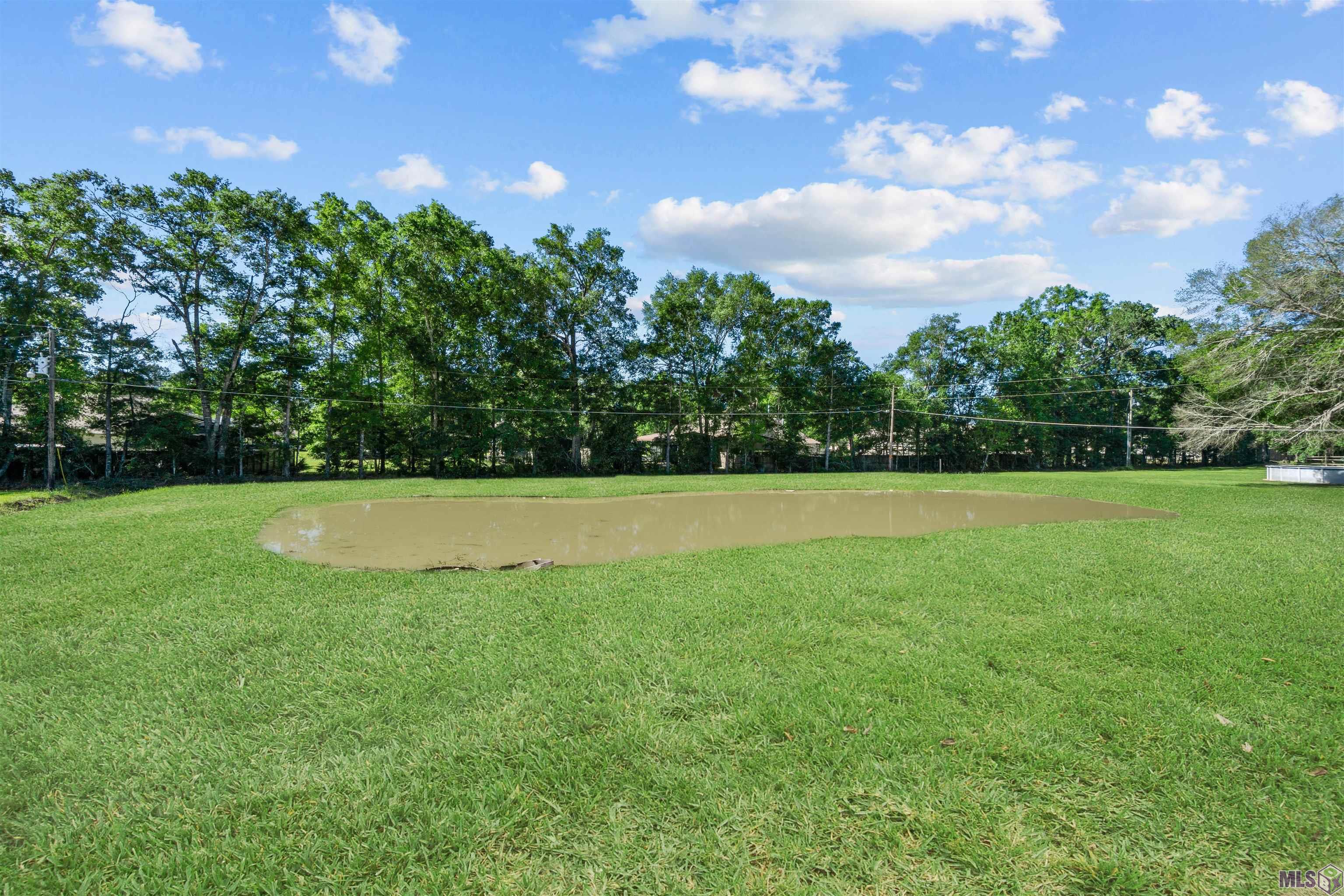 31872 Netterville Road Denham Springs, LA 70726 - Photo 23 of 25