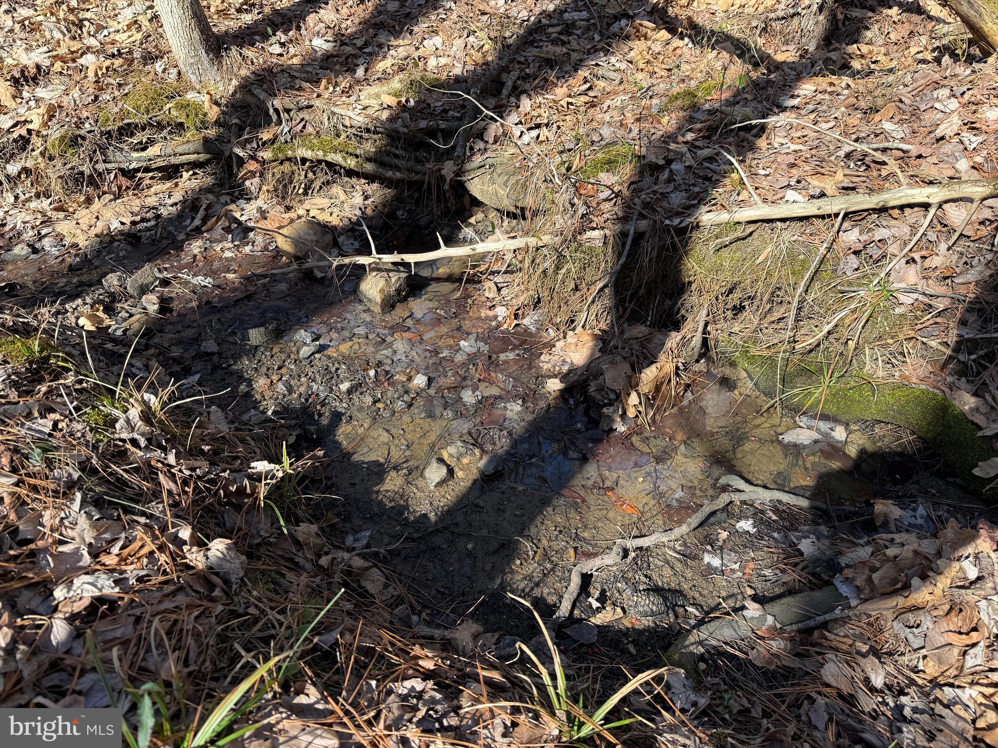 1 Maple Bridge Road Dillwyn, VA 23936 - Photo 11 of 23