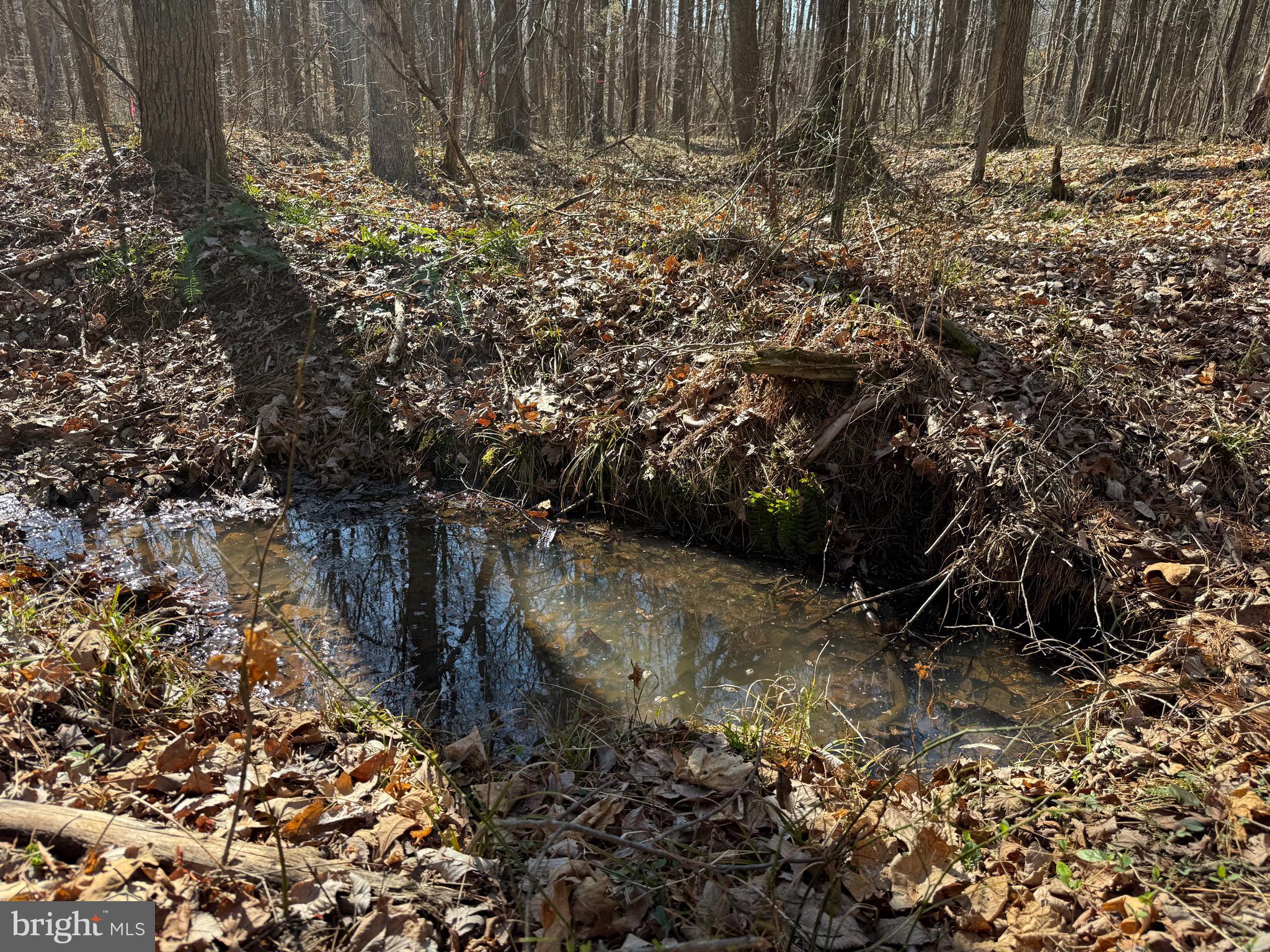 1 Maple Bridge Road Dillwyn, VA 23936 - Photo 12 of 23