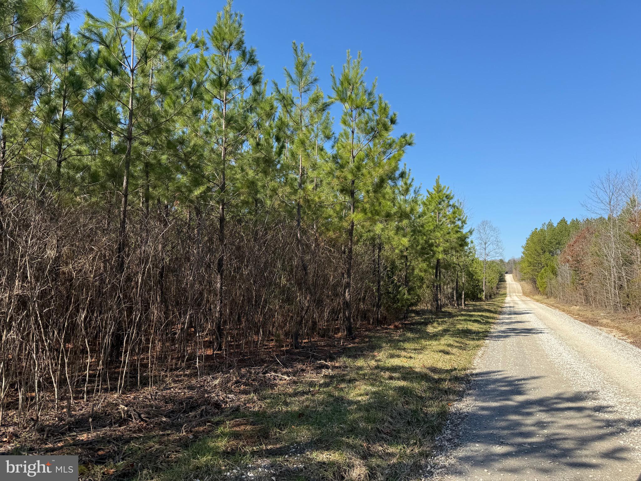 1 Maple Bridge Road Dillwyn, VA 23936 - Photo 15 of 23