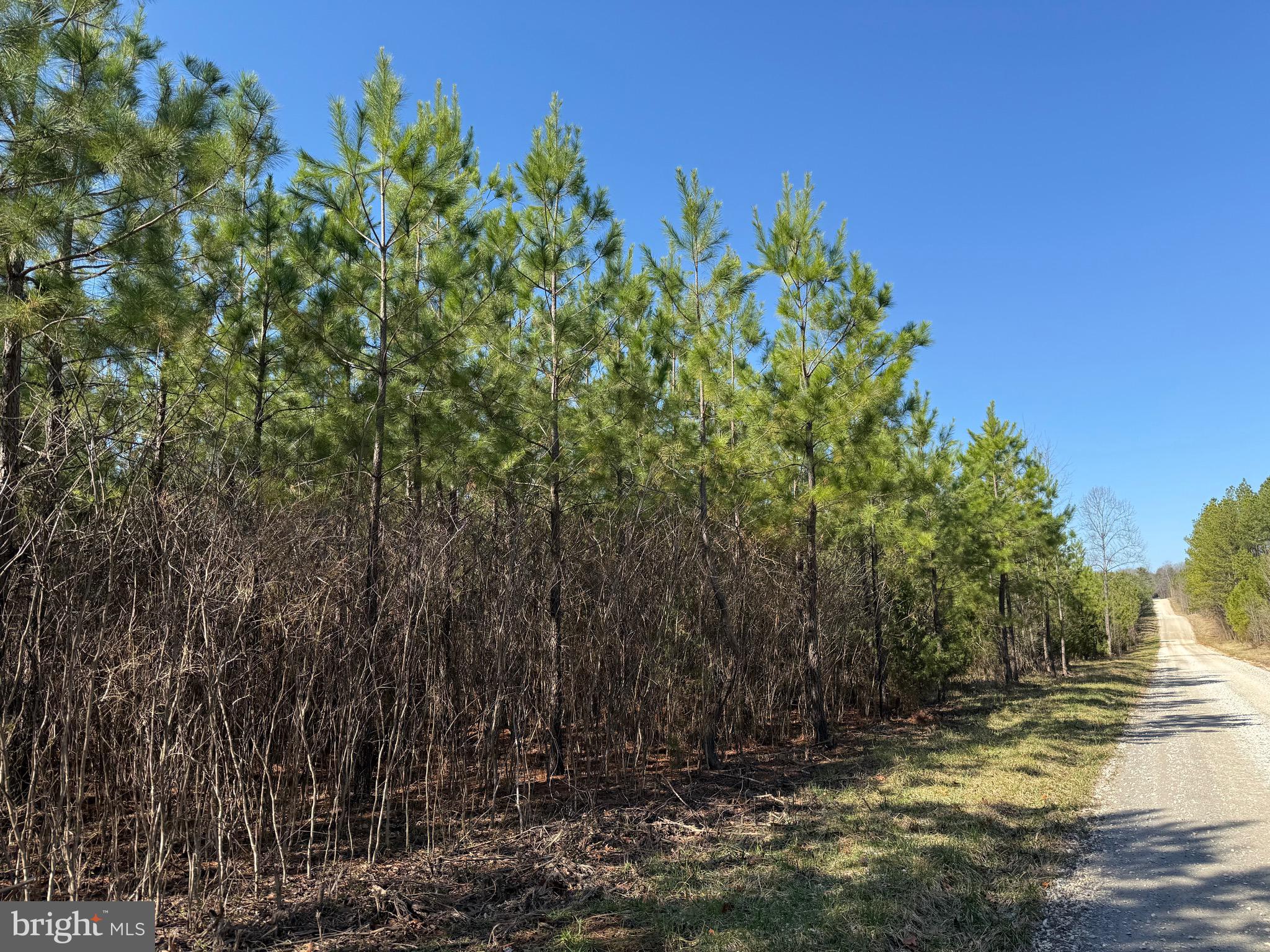 1 Maple Bridge Road Dillwyn, VA 23936 - Photo 16 of 23