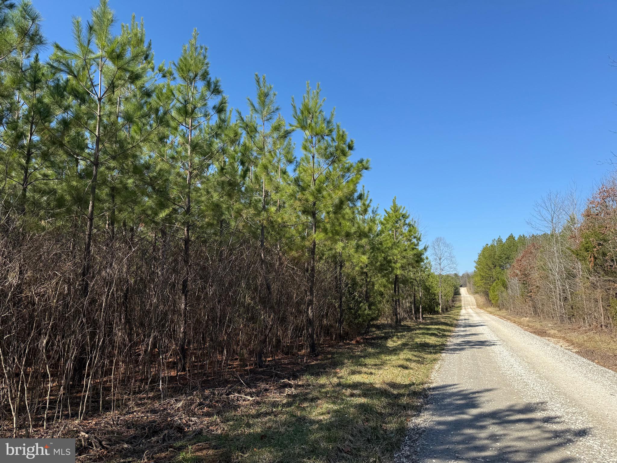 1 Maple Bridge Road Dillwyn, VA 23936 - Photo 17 of 23