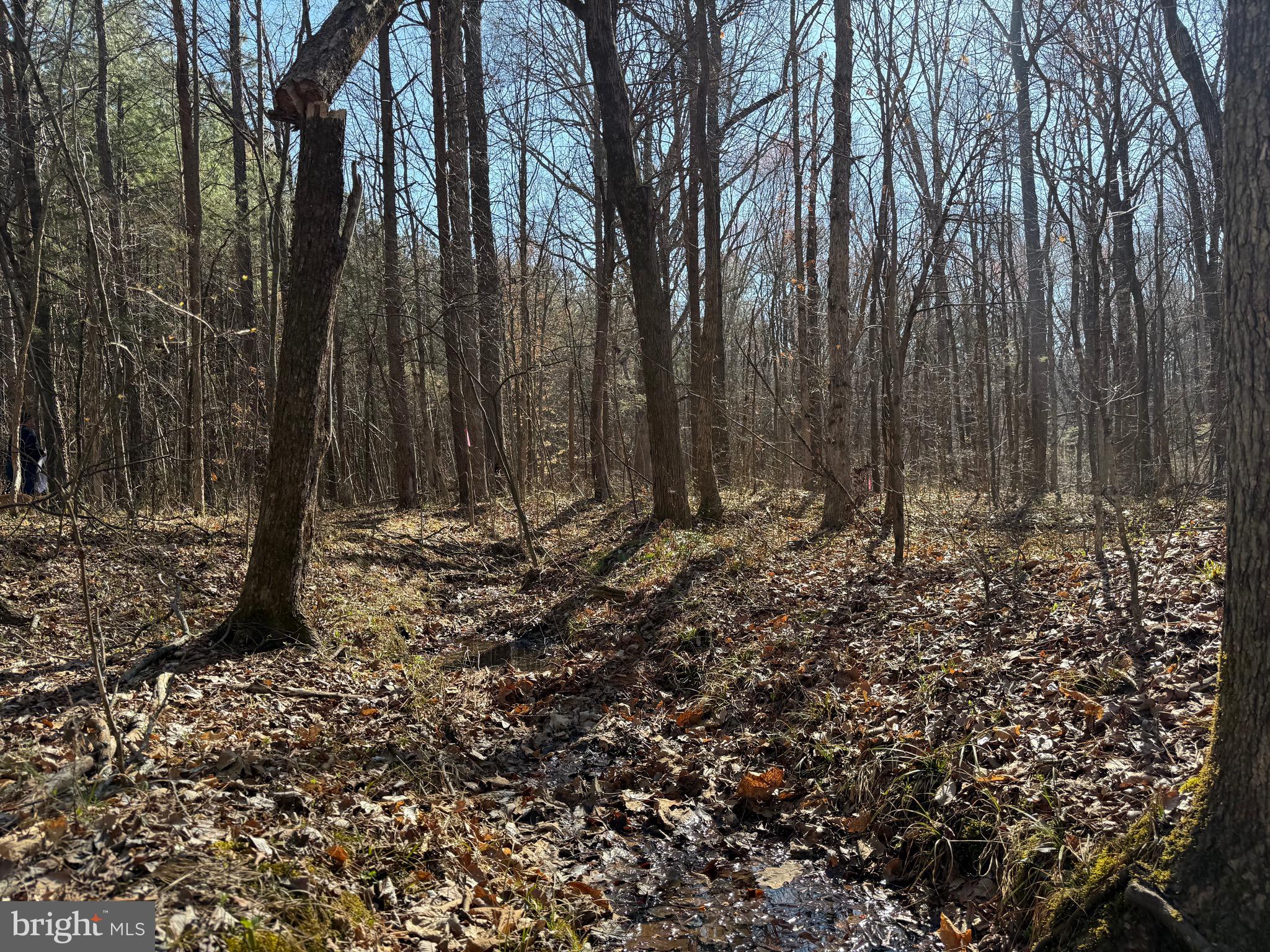 1 Maple Bridge Road Dillwyn, VA 23936 - Photo 21 of 23