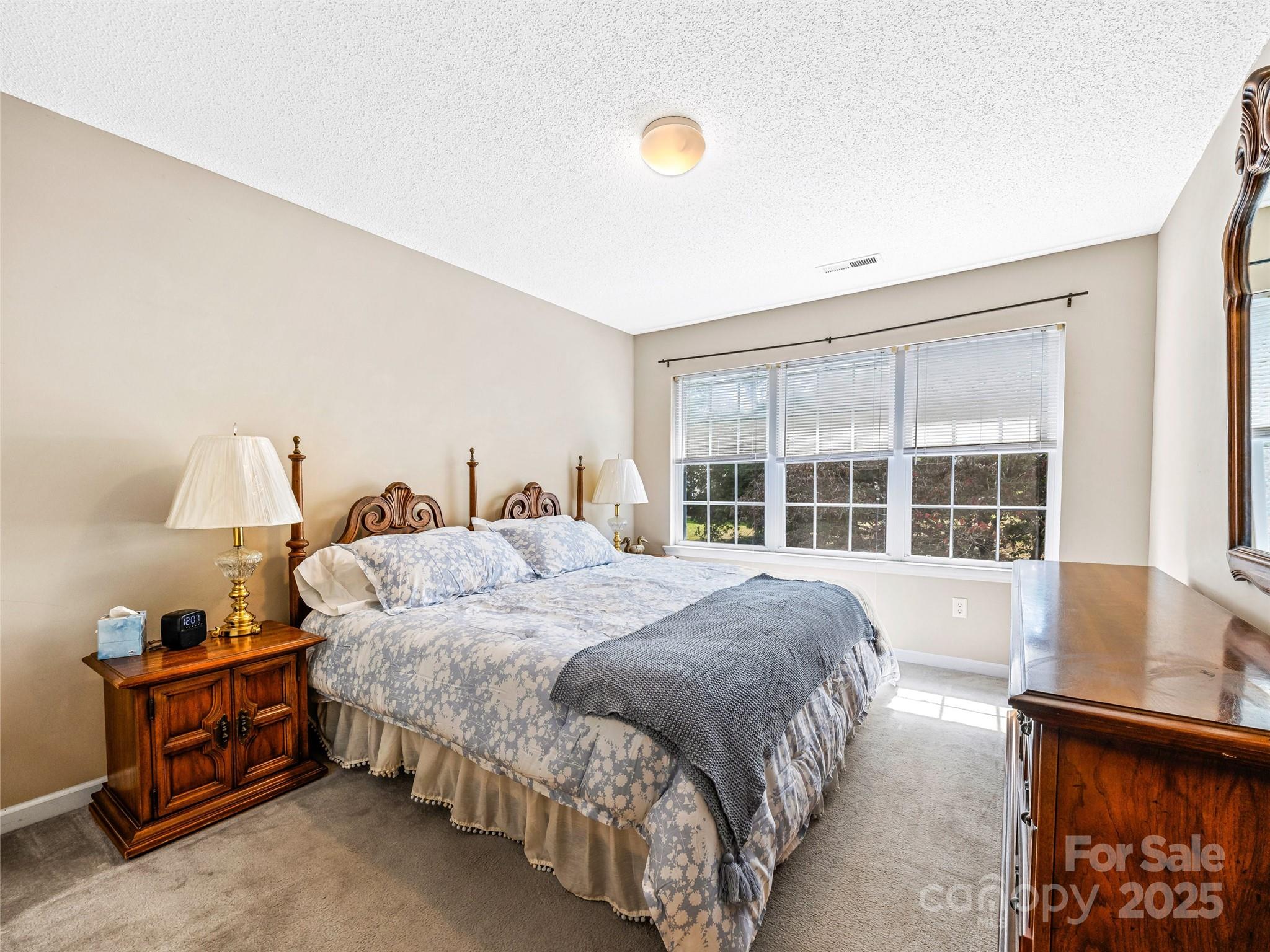 83 Farm Lane Mills River, NC 28759 - Photo 14 of 32