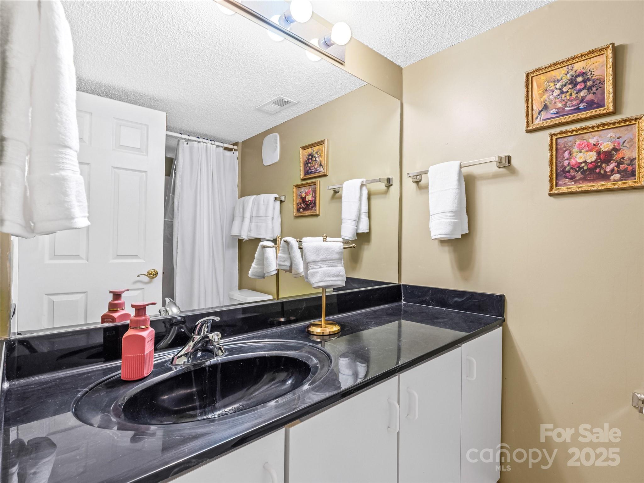 83 Farm Lane Mills River, NC 28759 - Photo 23 of 32