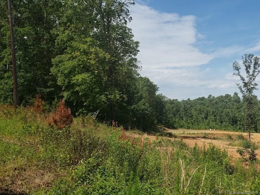 0 Womack Road Rutherfordton, NC 28139 - Photo 4 of 11 a view of a lush green forest with lots of trees