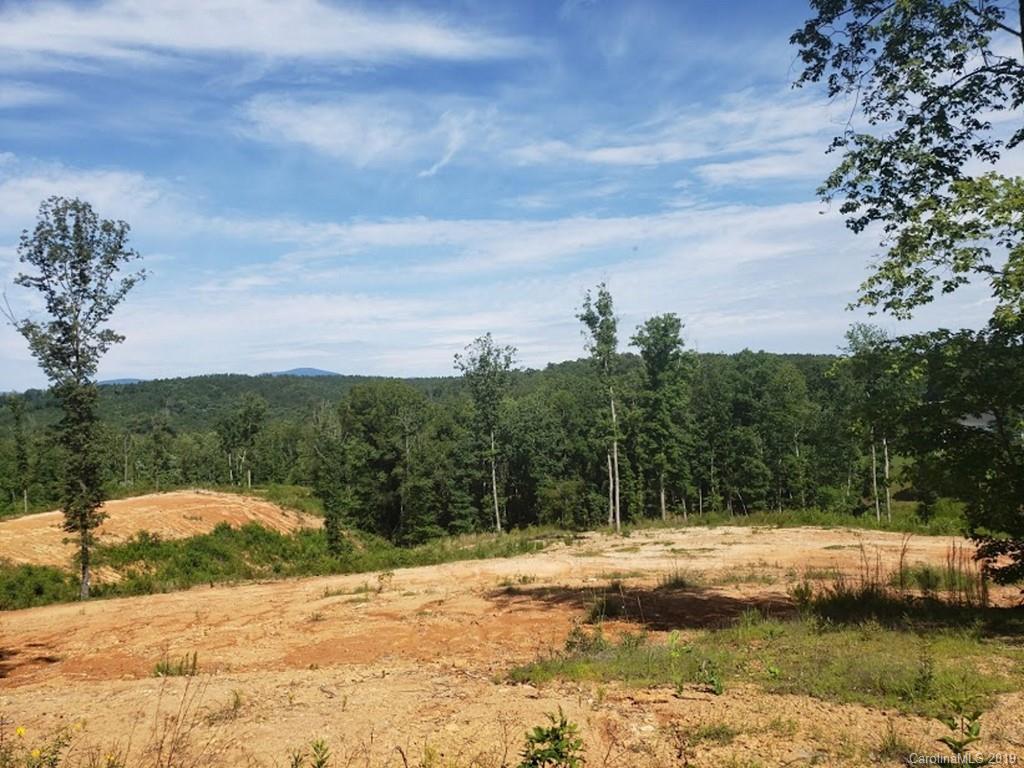 0 Womack Road Rutherfordton, NC 28139 - Photo 7 of 11