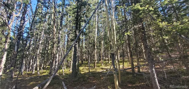 a view of swimming pool
