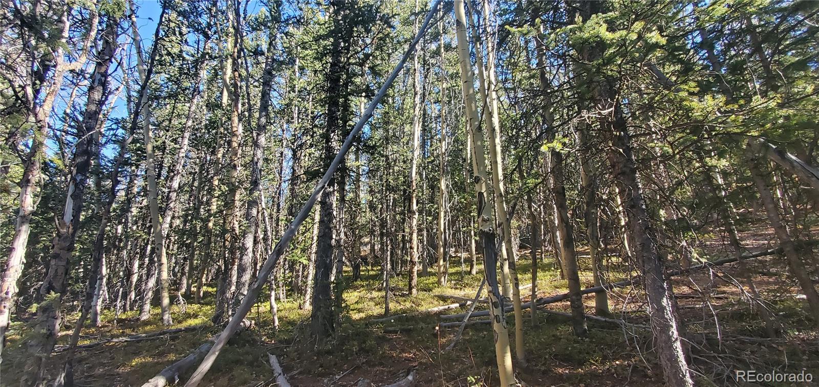 Lot 6581 Ackerman Road San Luis, CO 81152 - Photo 11 of 15