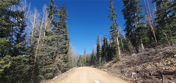 $16,900 | Lot 6581 Ackerman Road, San Luis, CO 81152