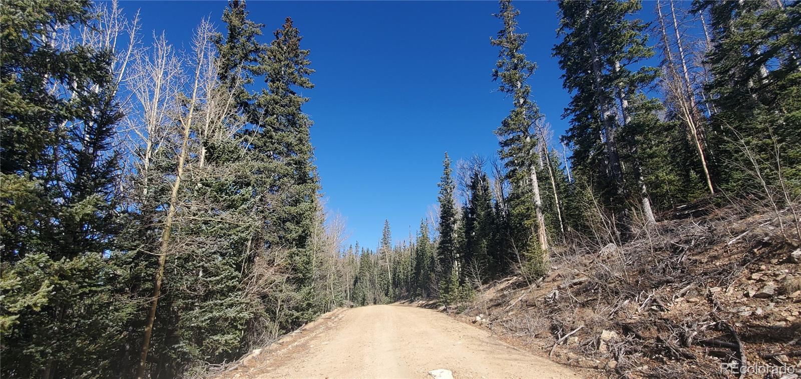 Lot 6581 Ackerman Road San Luis, CO 81152 - Photo 13 of 15 a view of a yard with a tree