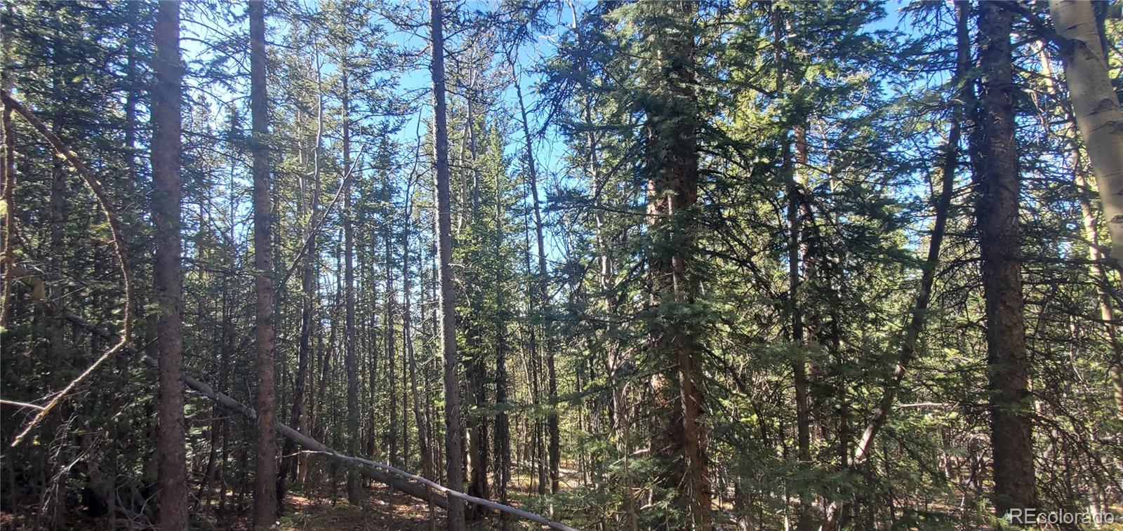 Lot 6581 Ackerman Road San Luis, CO 81152 - Photo 8 of 15