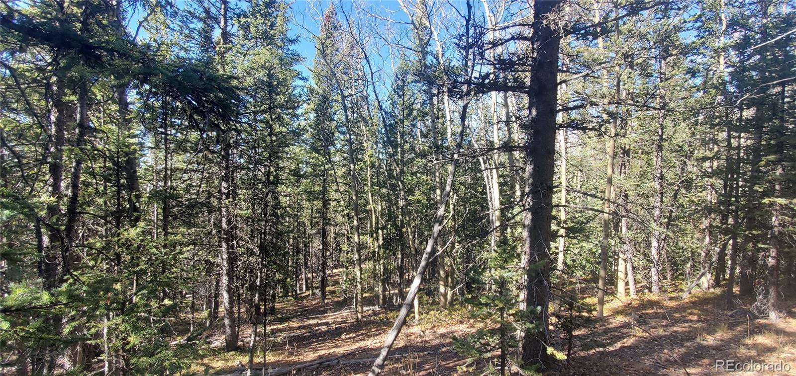 Lot 6581 Ackerman Road San Luis, CO 81152 - Photo 10 of 15