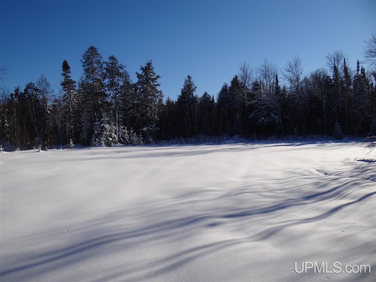 Tbd Irwin Road Baraga, MI 49908 - Photo 18 of 27