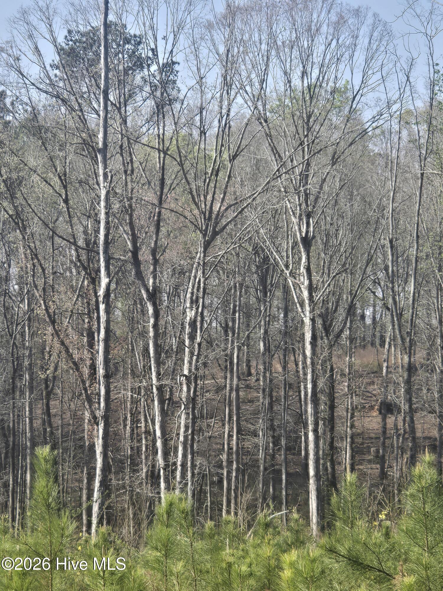 0 Mercier Road Lincolnton, GA 30817 - Photo 6 of 6