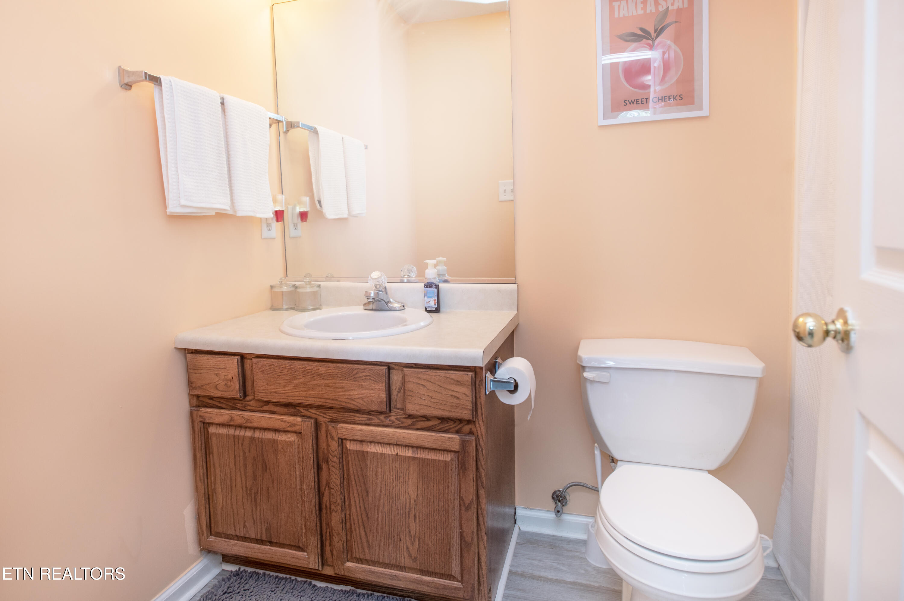369 Hawthorne Oaks Way Powell, TN 37849 - Photo 6 of 16 Bathroom 2