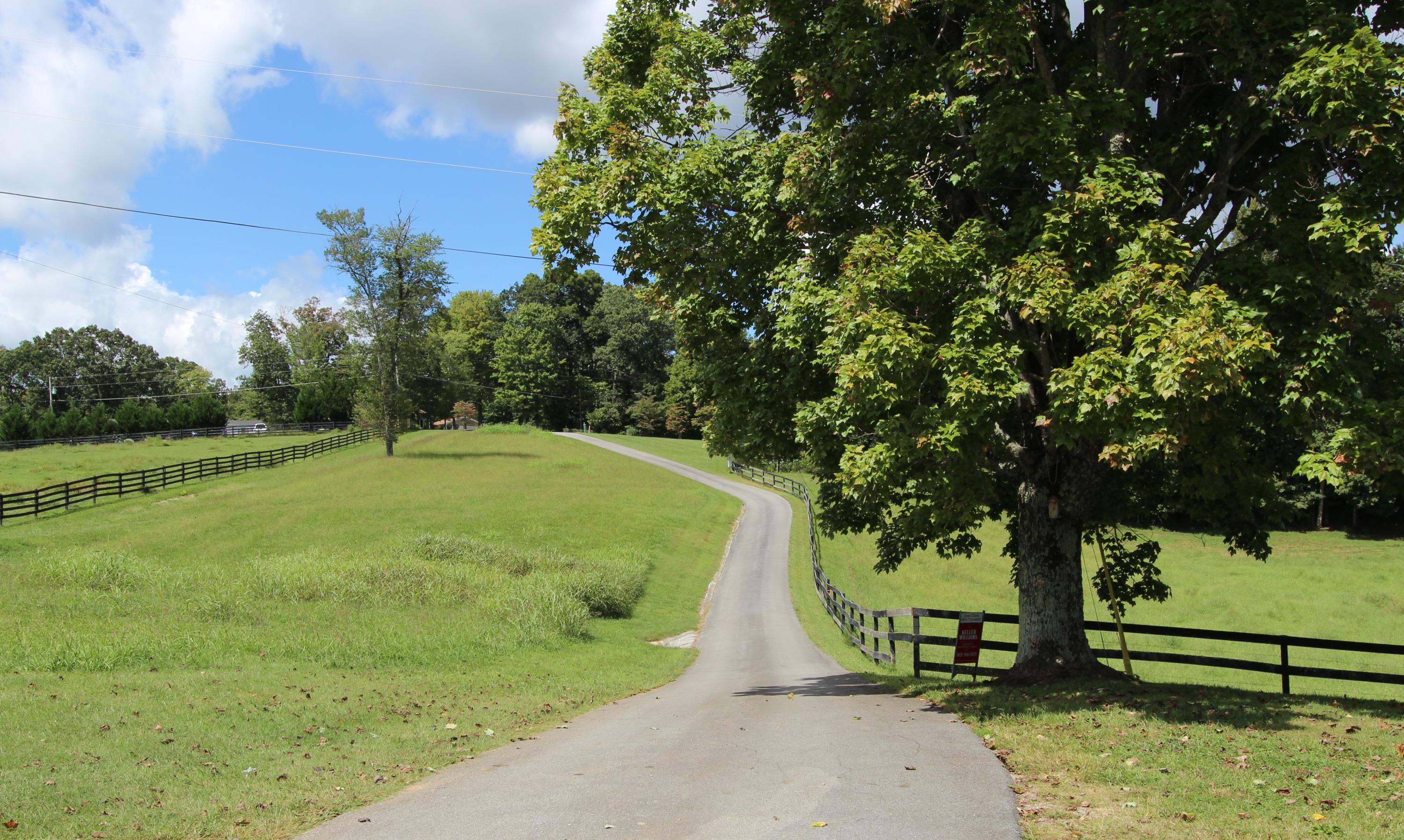 218 Long Hollow Road Clinton, TN 37716 - Photo 3 of 27 Drive from the road