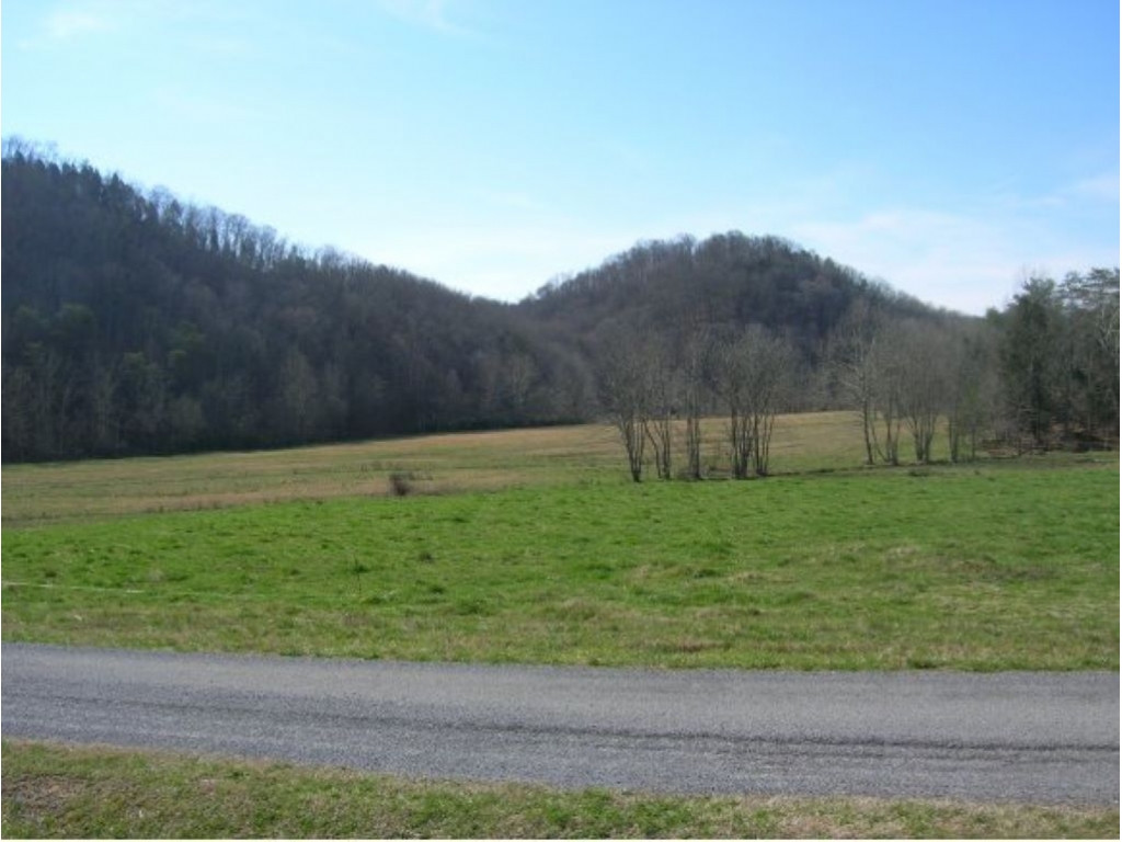 103 Shortt Road Rogersville, TN 37857 - Photo 1 of 1 Photo 1
