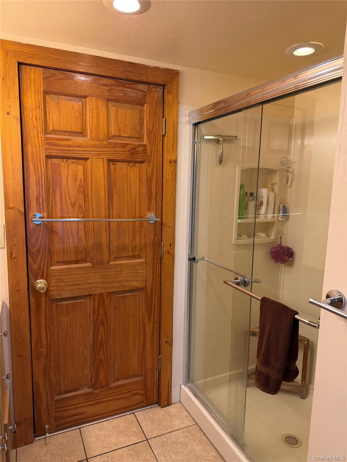 319 Blue Hill Road Hopewell Junction, NY 12533 - Photo 19 of 21 Walk-in shower in second floor bathroom.