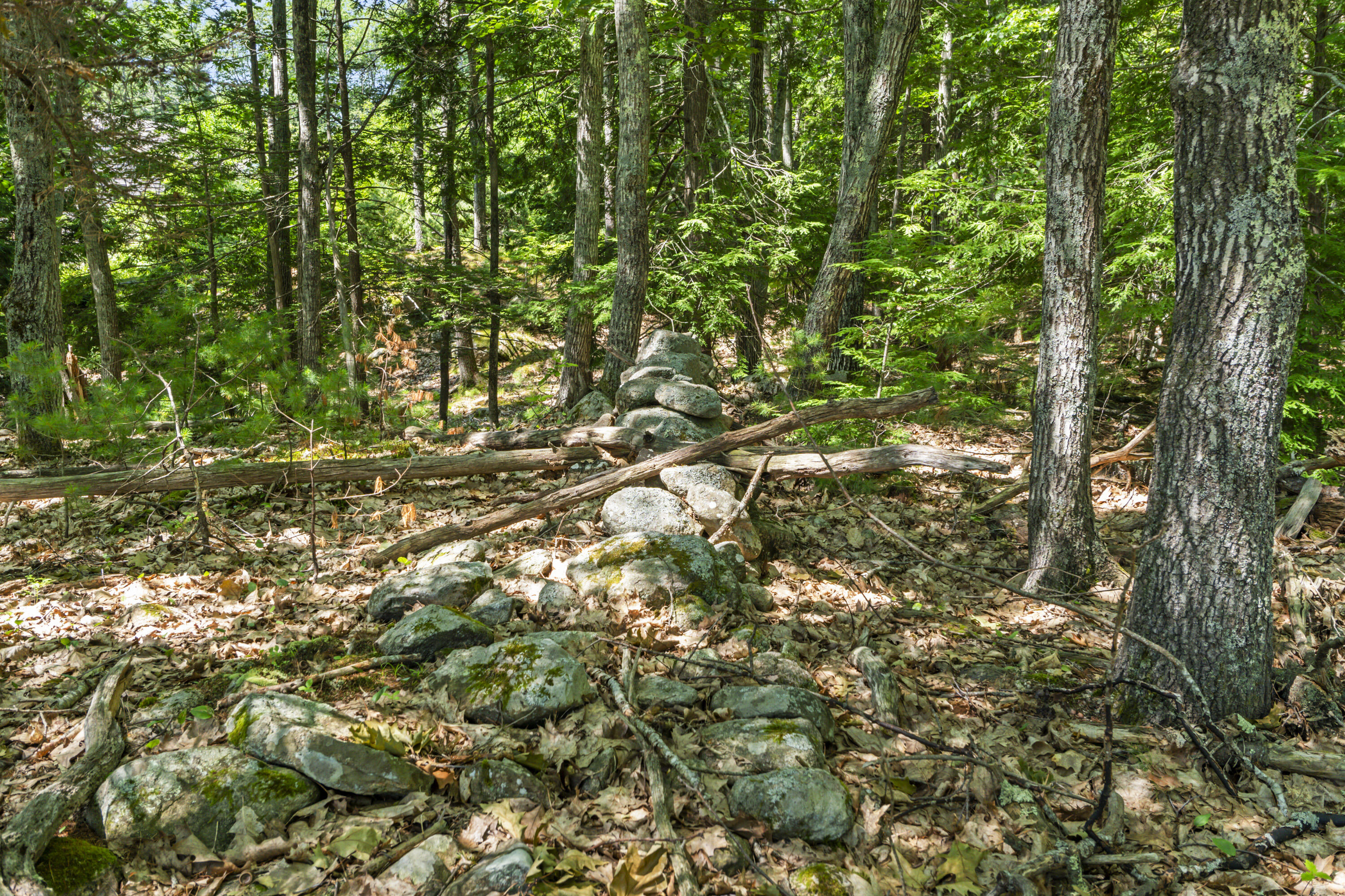119 Pine Hill Road Cape Neddick, ME 03902 - Photo 11 of 19 119 Pine Hill Rd, Cape Neddick