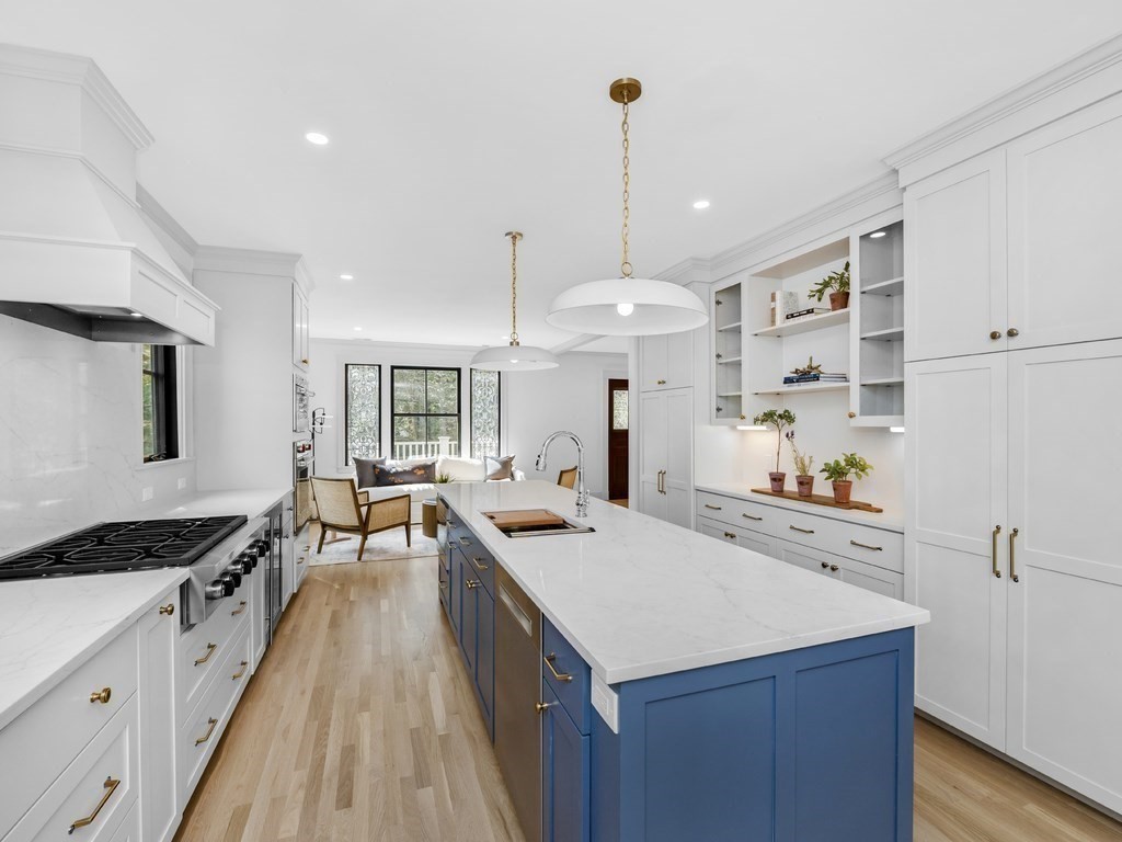 58-60 University Road, Unit 58 Brookline, MA 02446 - Photo 5 of 29