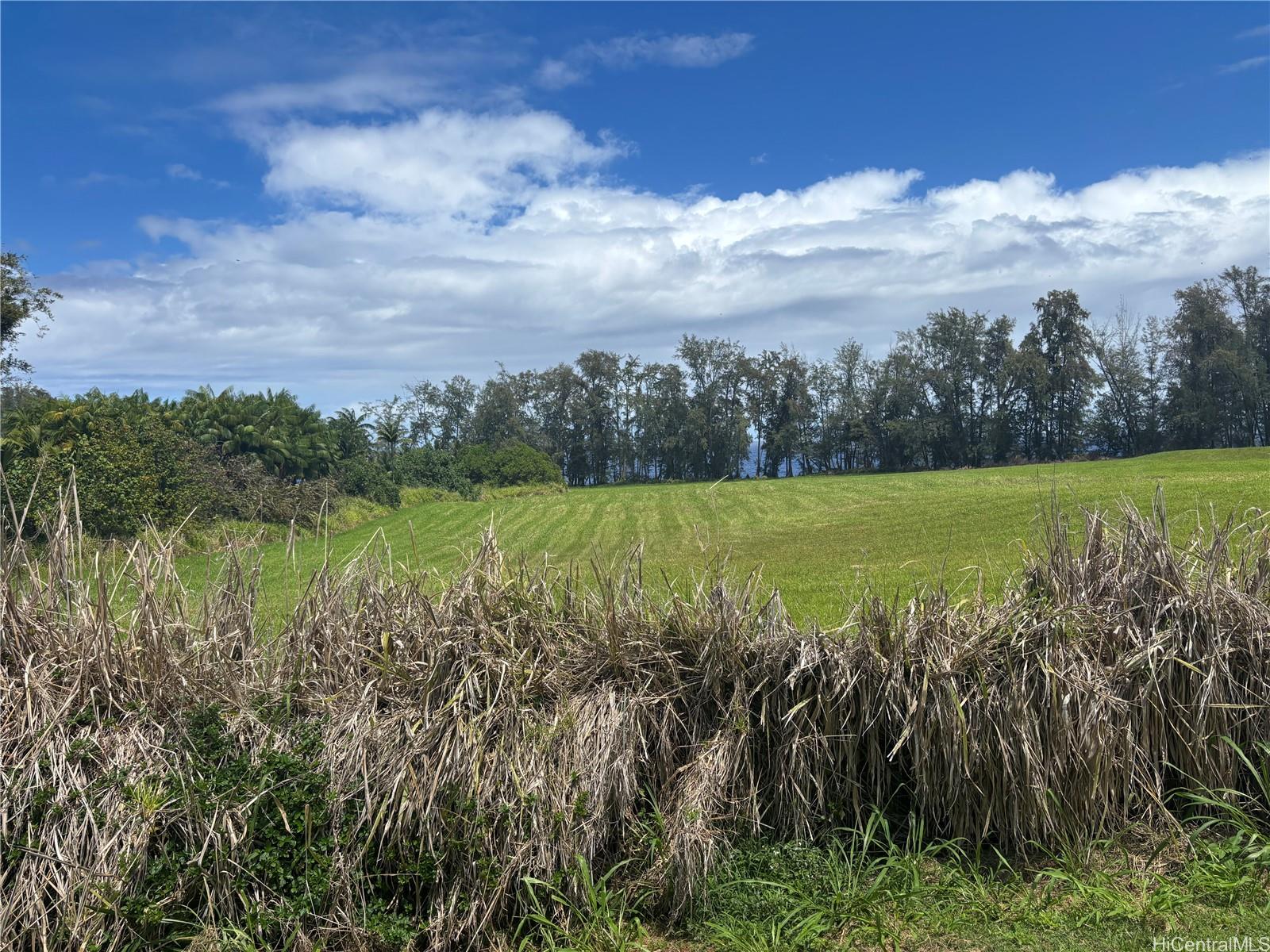 28-3280 Beach Road Pepeekeo, HI 96783 - Photo 6 of 8 a view of a lake with houses in the back