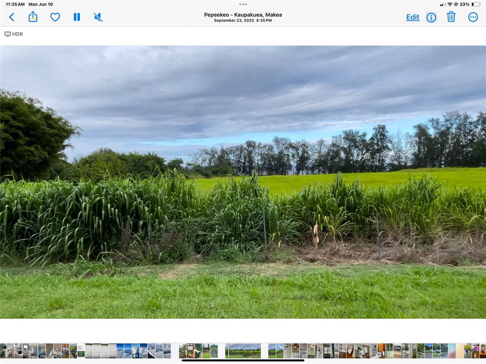 28-3280 Beach Road Pepeekeo, HI 96783 - Photo 7 of 8 a open area with grassy field and trees
