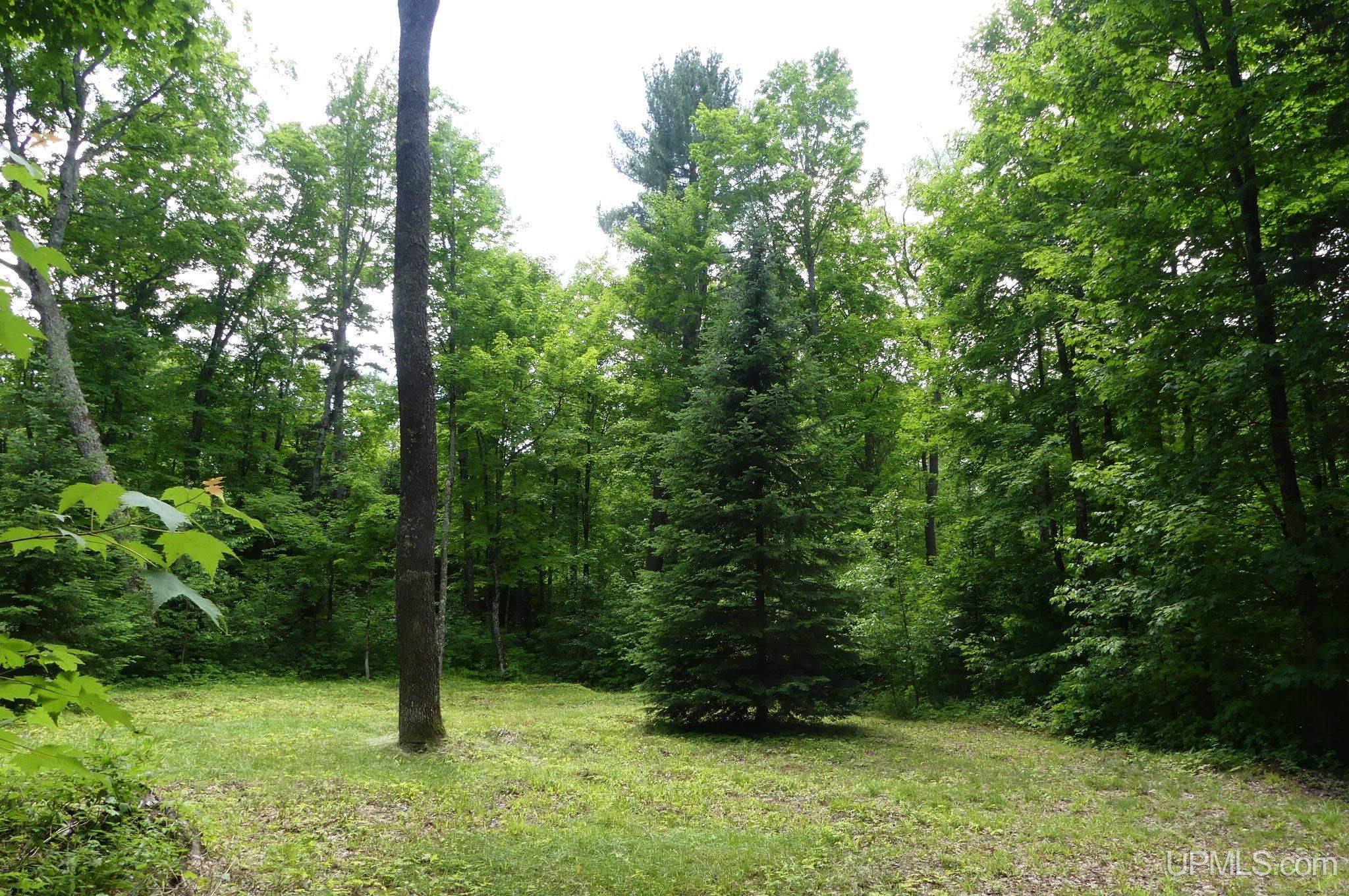 47 East 3rd Road Seney, MI 49883 - Photo 12 of 30 Gallery Image 12