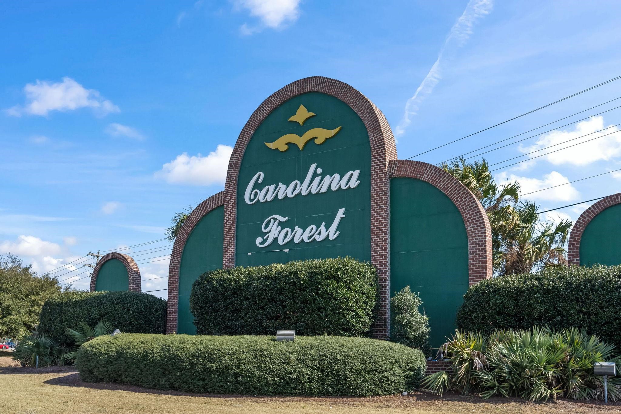 4190 Setter Court Myrtle Beach, SC 29579 - Photo 56 of 63