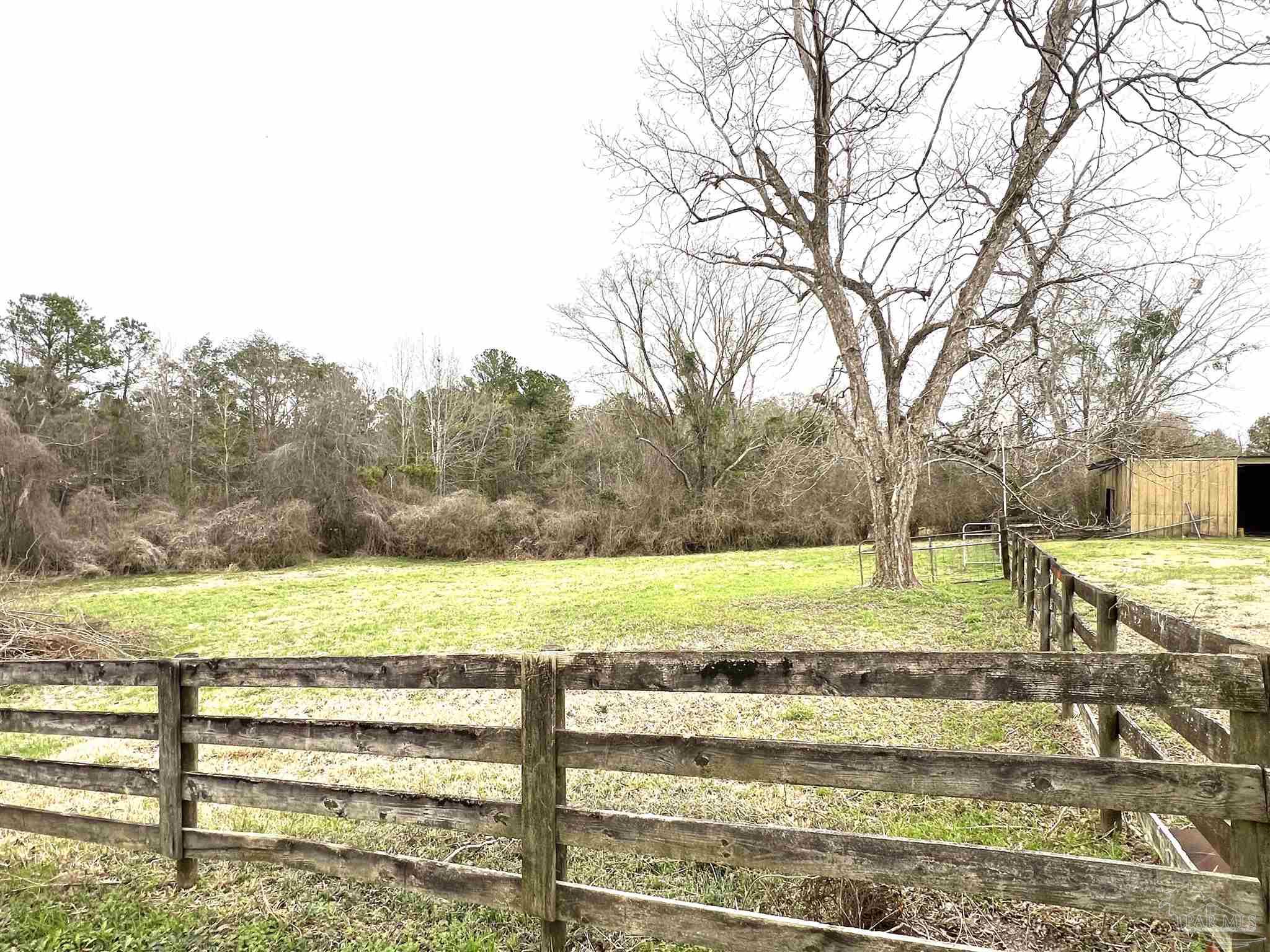 1560 Wolf Log Road Flomaton, AL 36441 - Photo 10 of 14