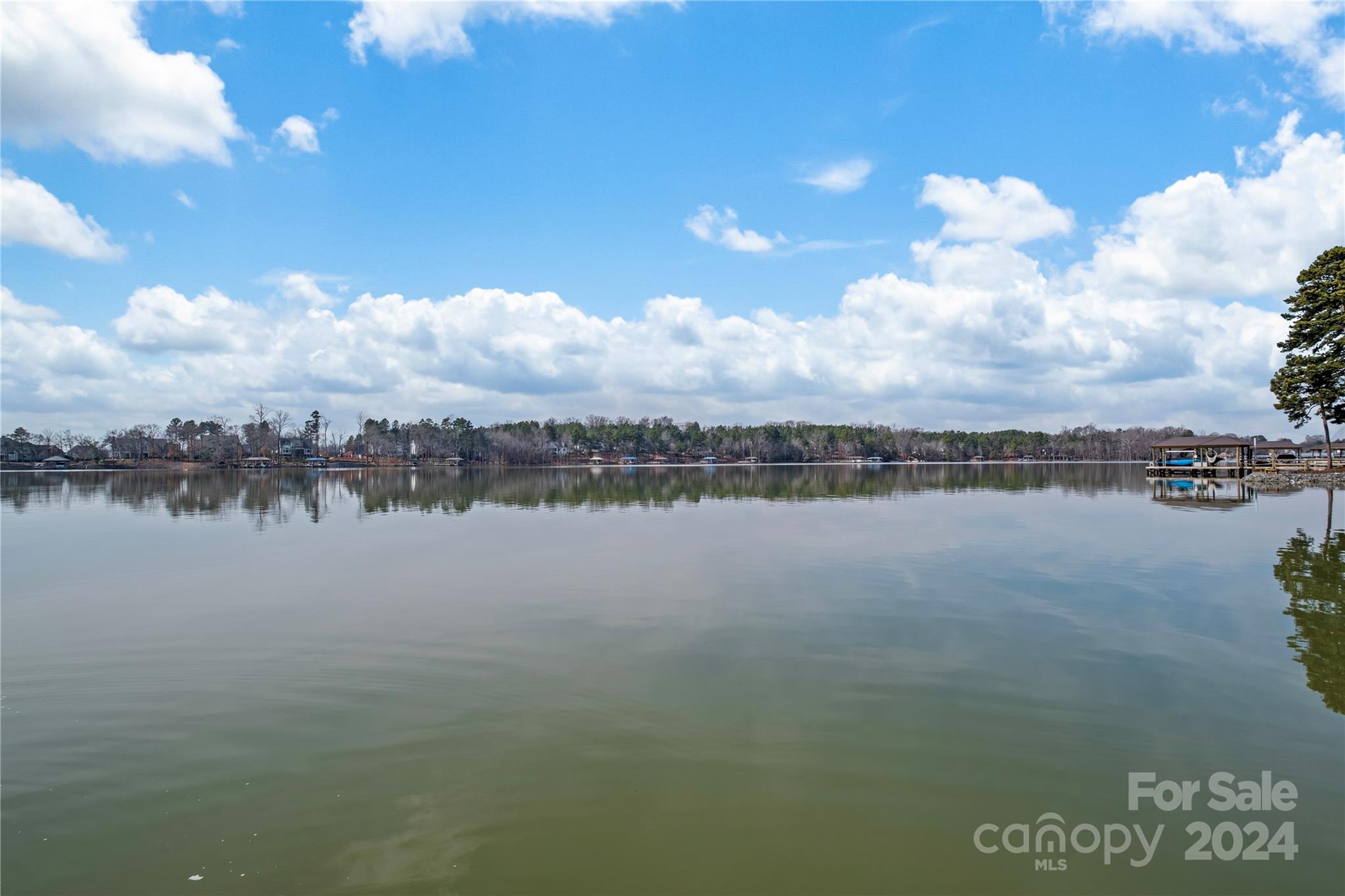 1540 Reflection Pointe Boulevard Belmont, NC 28012 - Photo 44 of 47