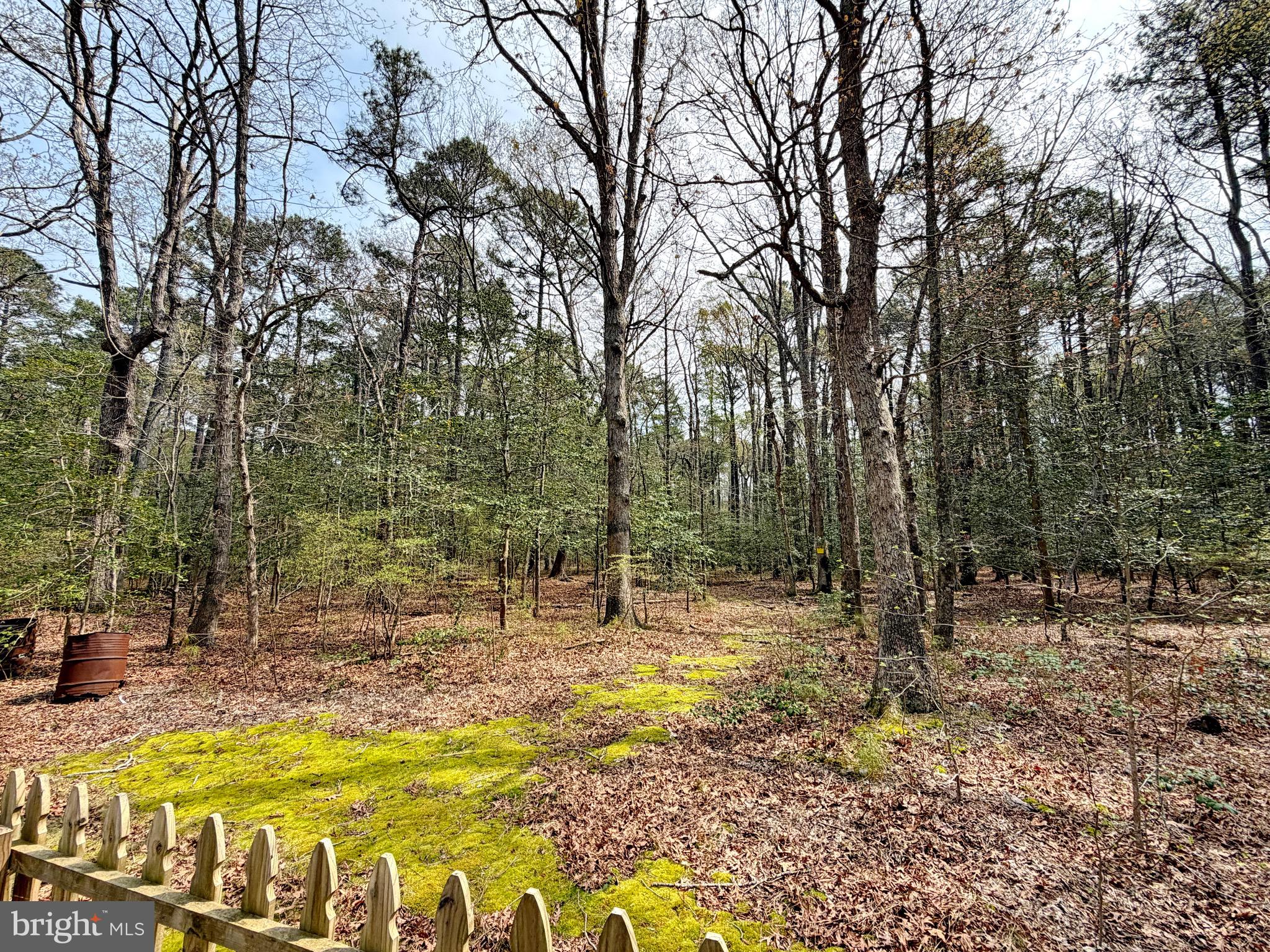 15390 Matthews Manor Road Newburg, MD 20664 - Photo 51 of 52