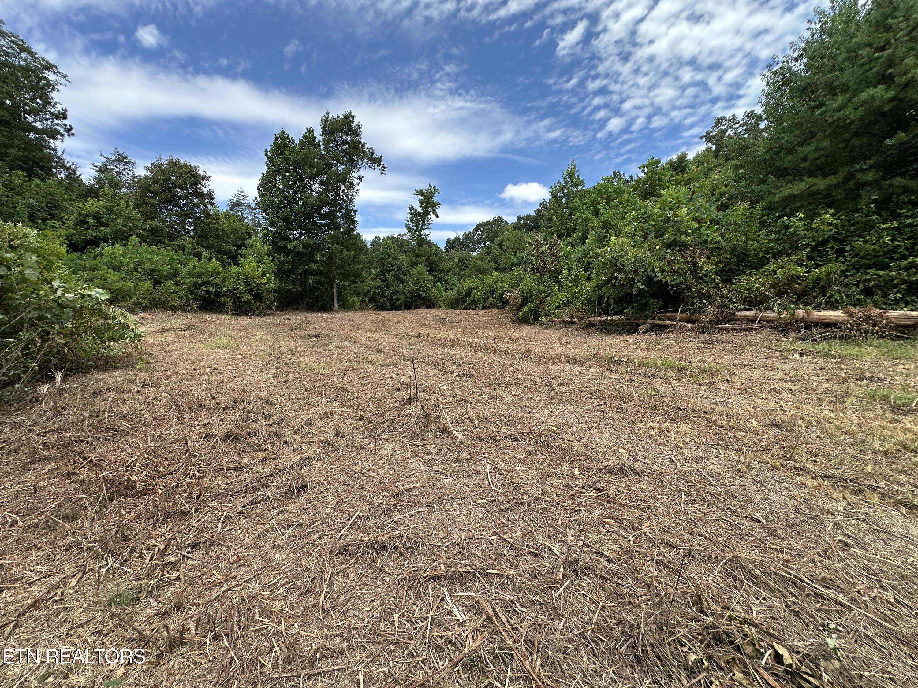 7070 Ross Road Philadelphia, TN 37846 - Photo 12 of 30 IMG_4384