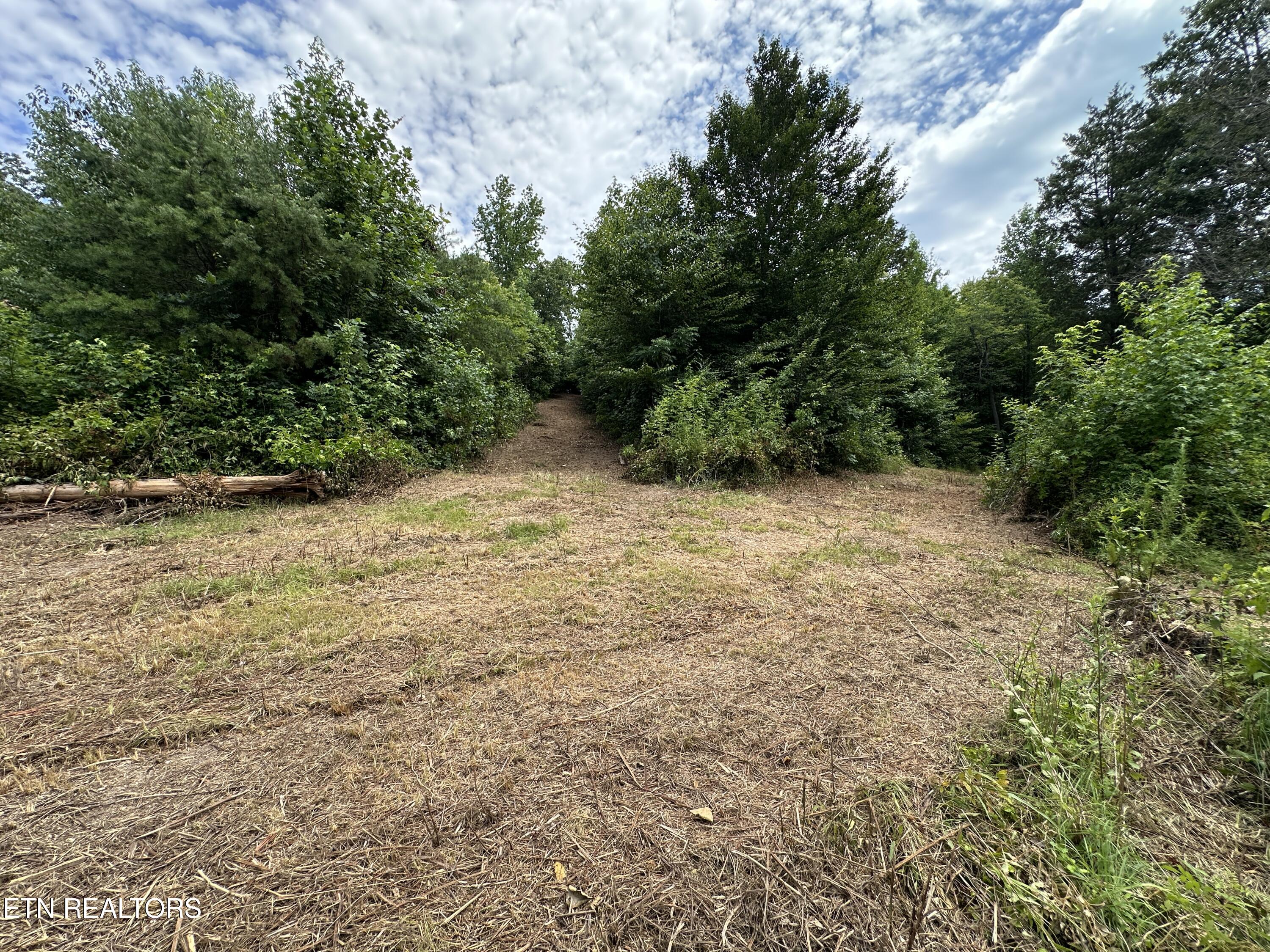 7070 Ross Road Philadelphia, TN 37846 - Photo 13 of 30 IMG_4385