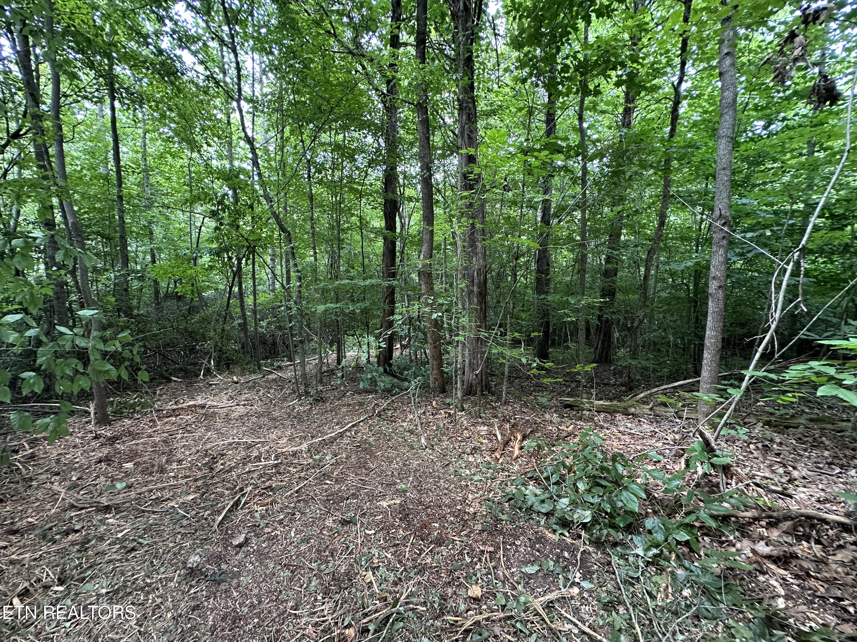 7070 Ross Road Philadelphia, TN 37846 - Photo 14 of 30 IMG_4386