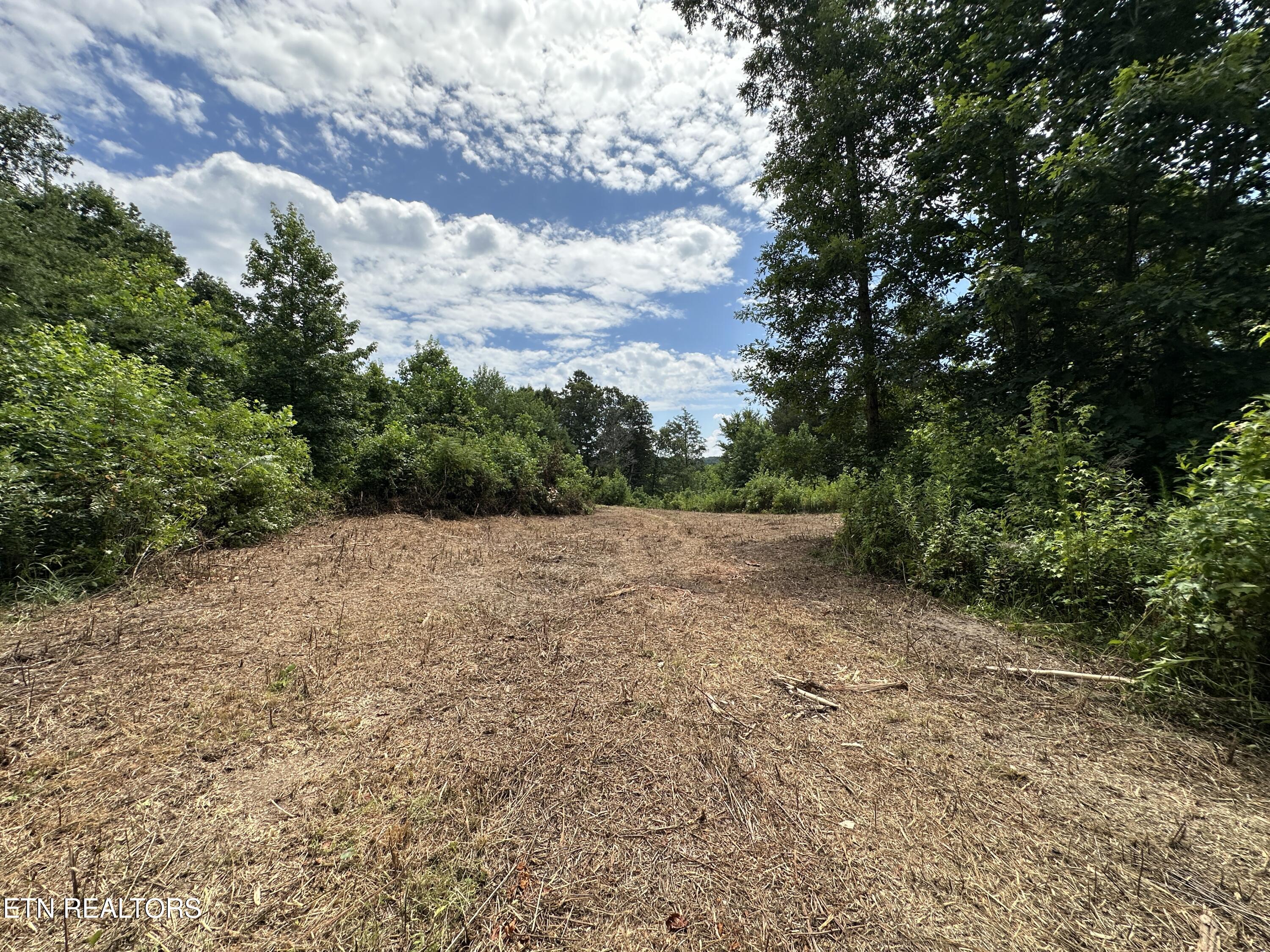 7070 Ross Road Philadelphia, TN 37846 - Photo 15 of 30 IMG_4387