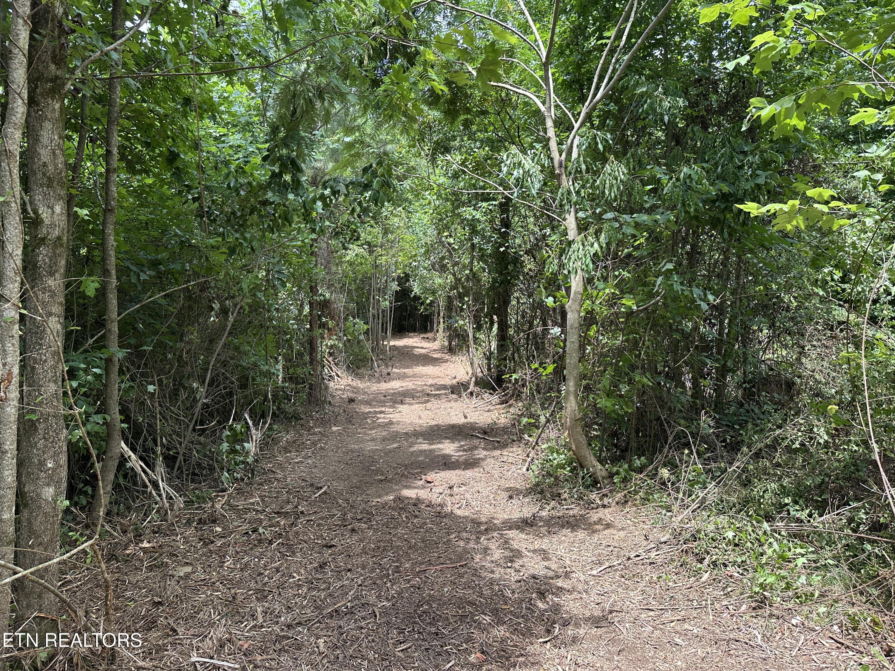 7070 Ross Road Philadelphia, TN 37846 - Photo 16 of 30 IMG_4388