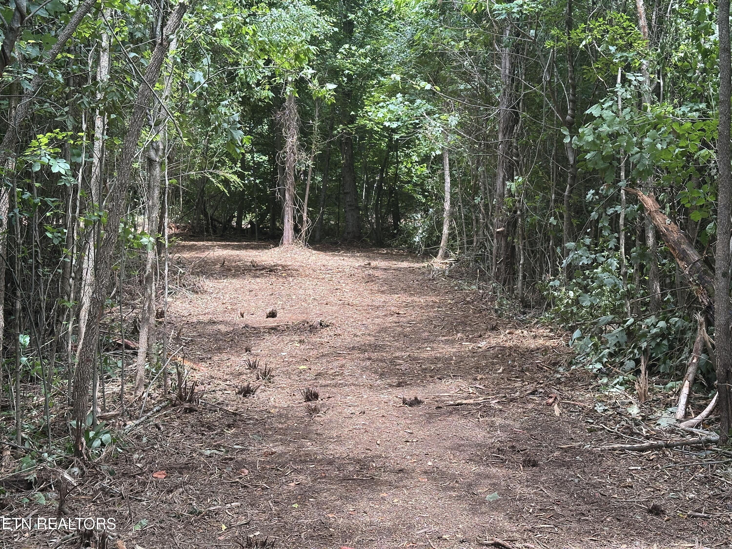 7070 Ross Road Philadelphia, TN 37846 - Photo 17 of 30 IMG_4389