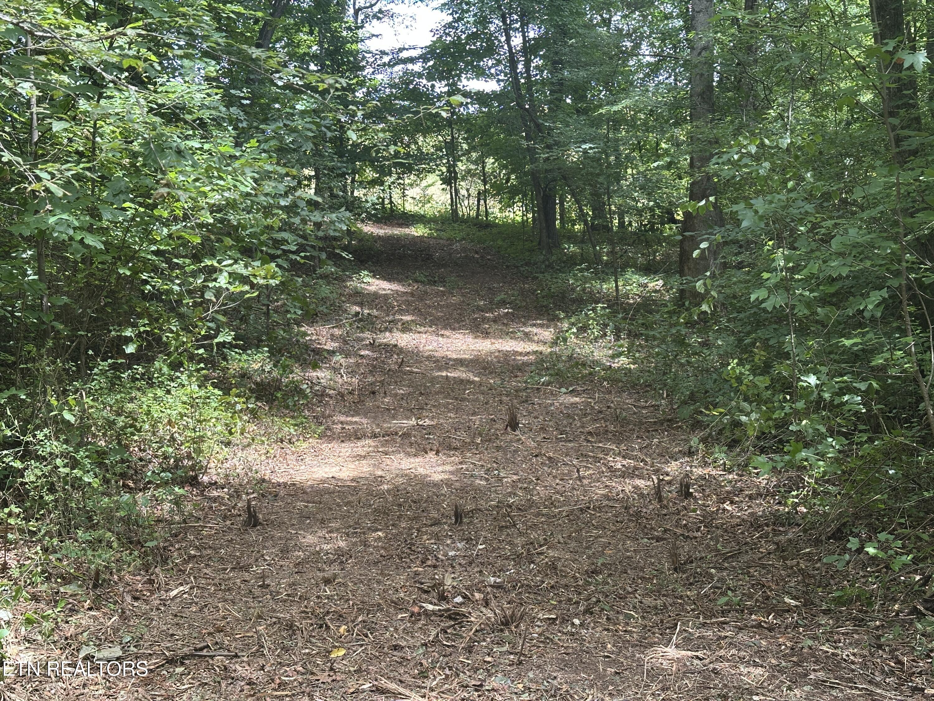 7070 Ross Road Philadelphia, TN 37846 - Photo 19 of 30 IMG_4391