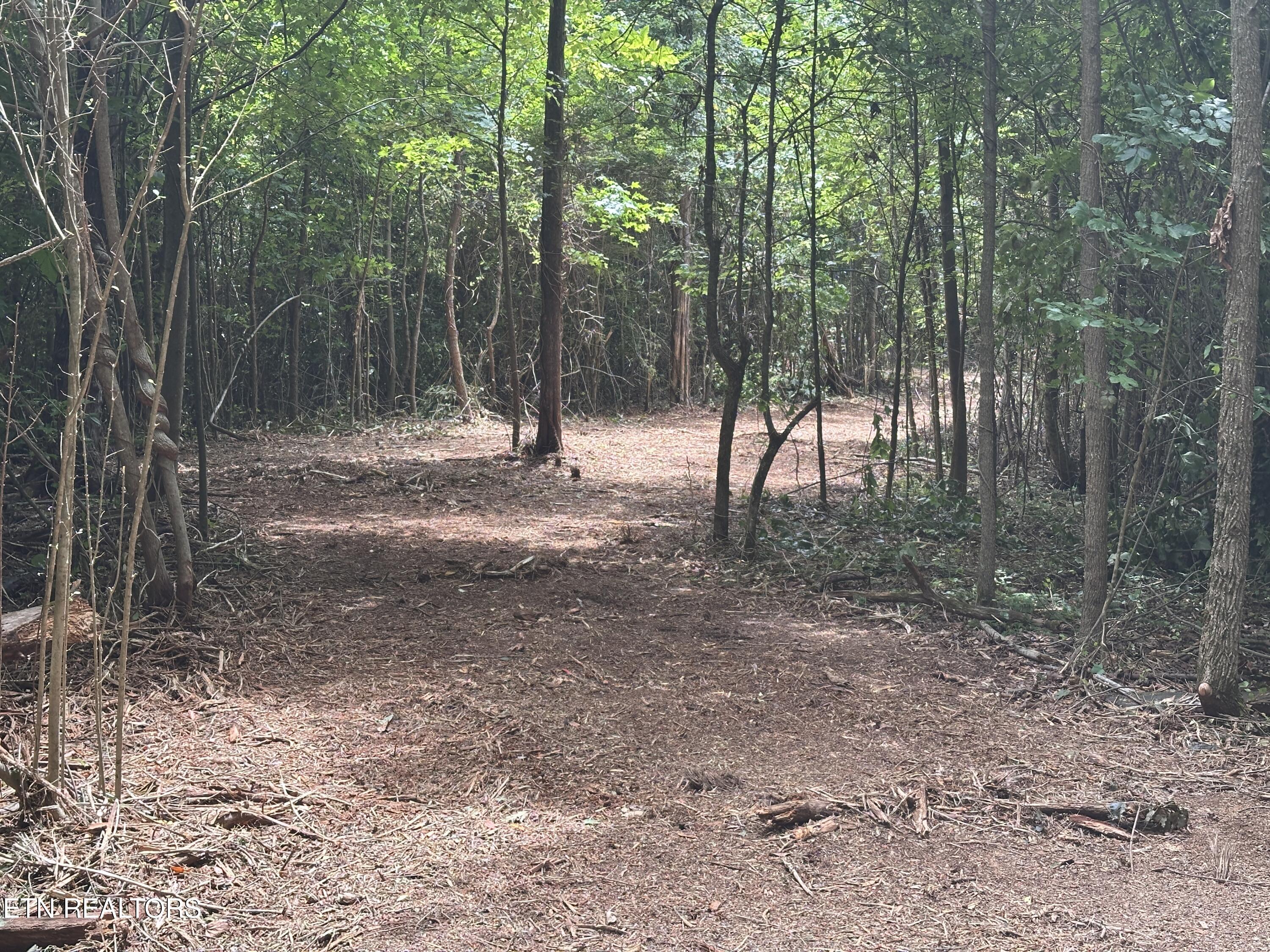 7070 Ross Road Philadelphia, TN 37846 - Photo 20 of 30 IMG_4392