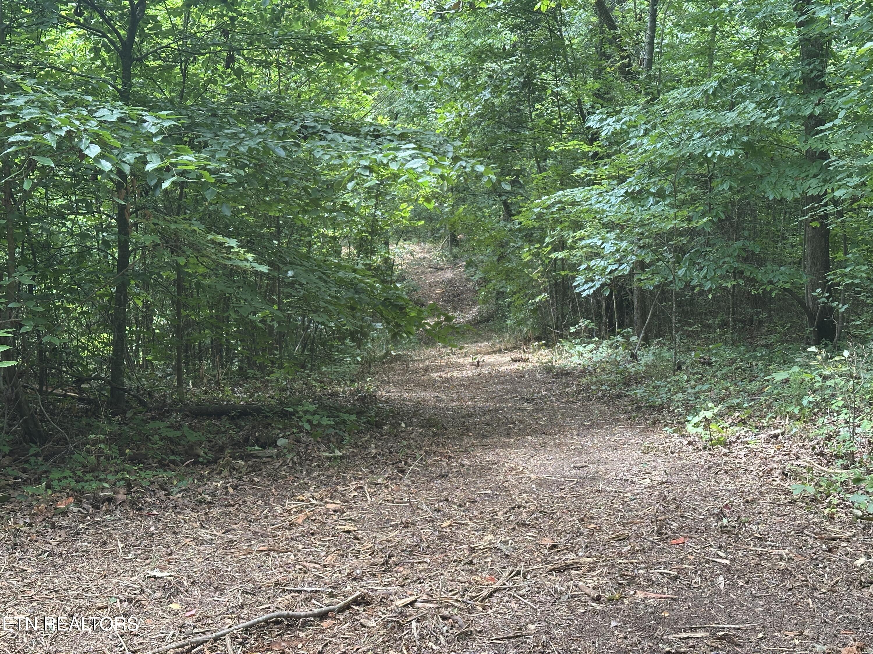 7070 Ross Road Philadelphia, TN 37846 - Photo 21 of 30 IMG_4393