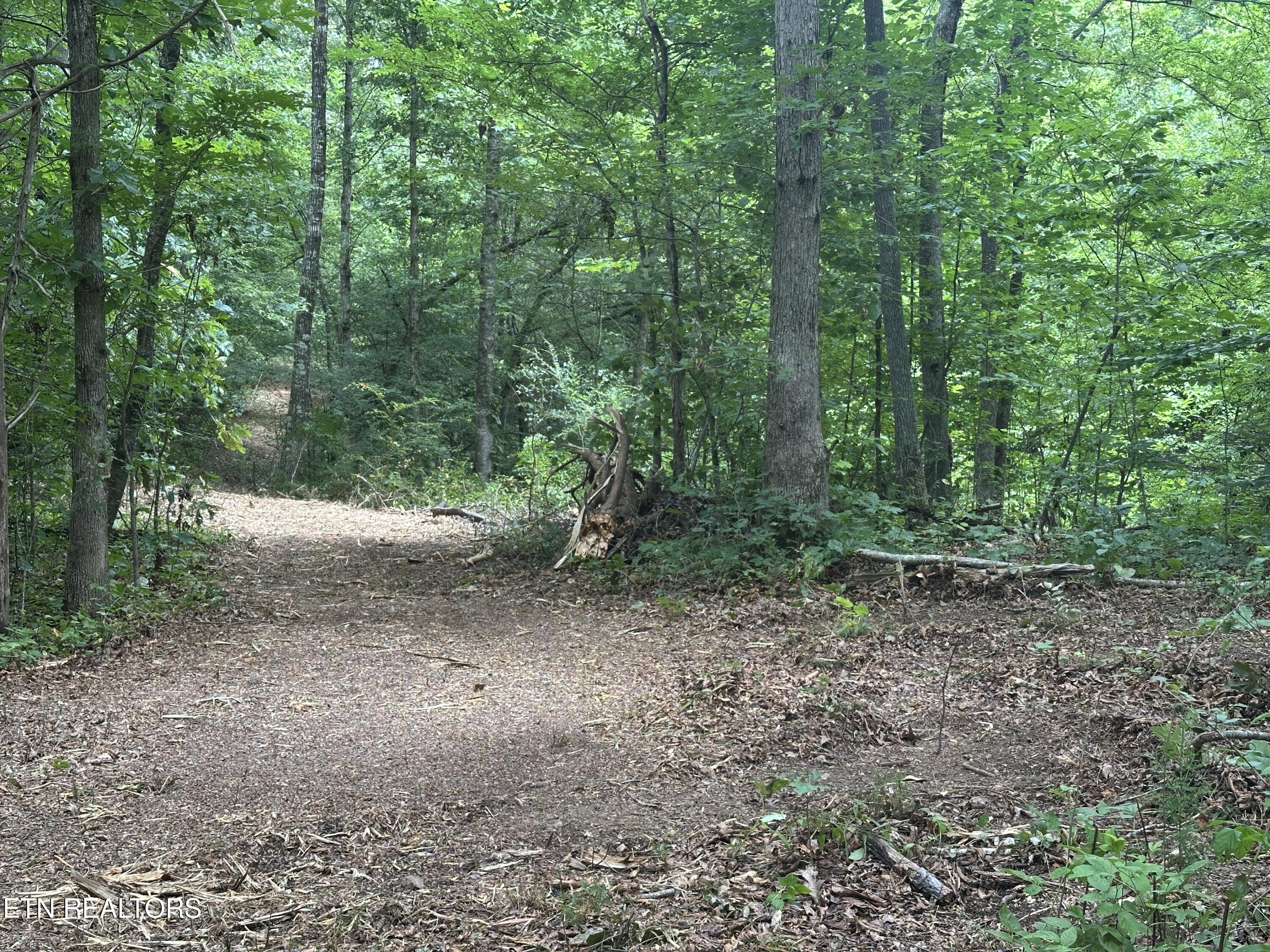 7070 Ross Road Philadelphia, TN 37846 - Photo 22 of 30 IMG_4394